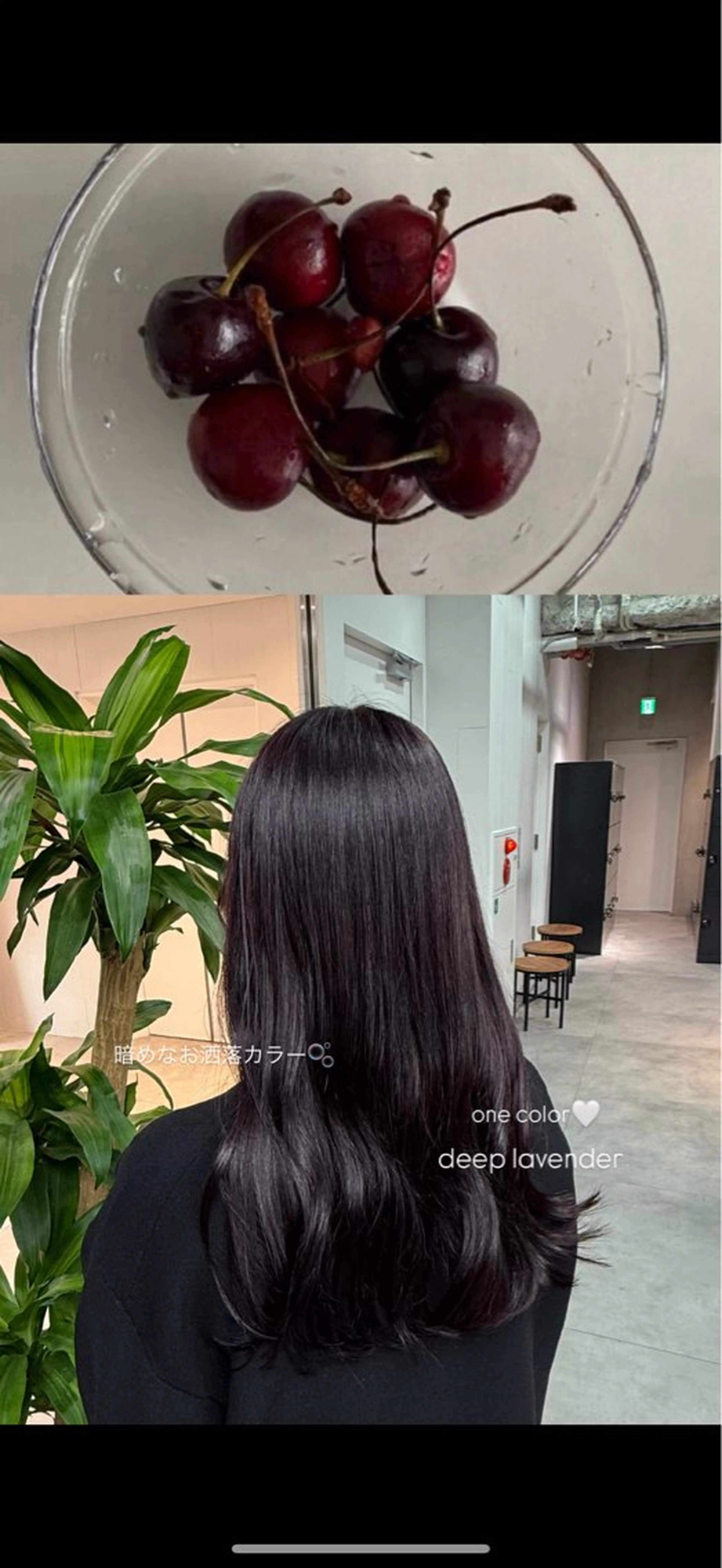 カラー ALBUM銀座店所属・album _ayakaのヘアスタイル