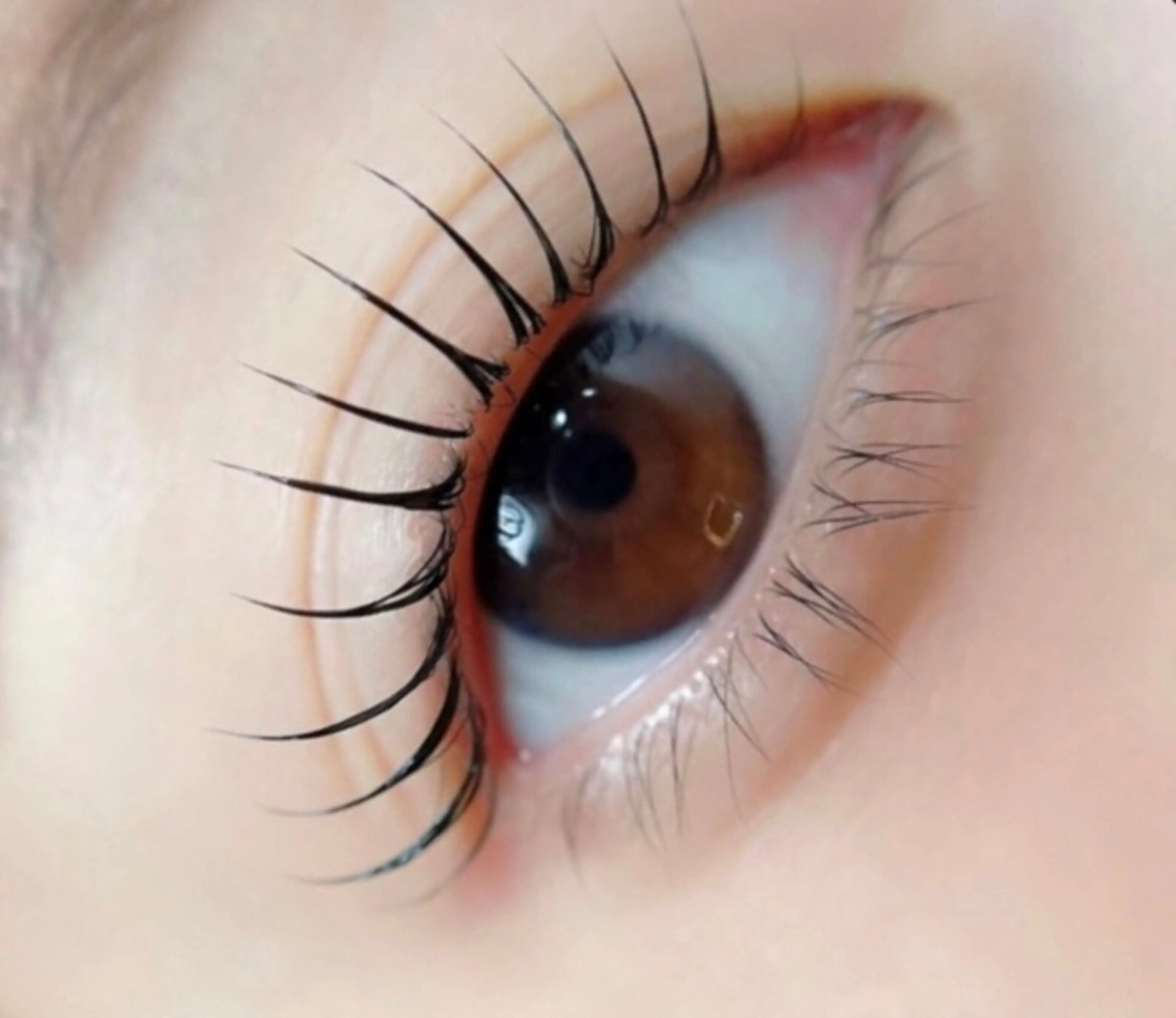 マツエク・マツパ マツパ 🌹ブリランテ🌹 大人気店のマツエク・マツパデザイン