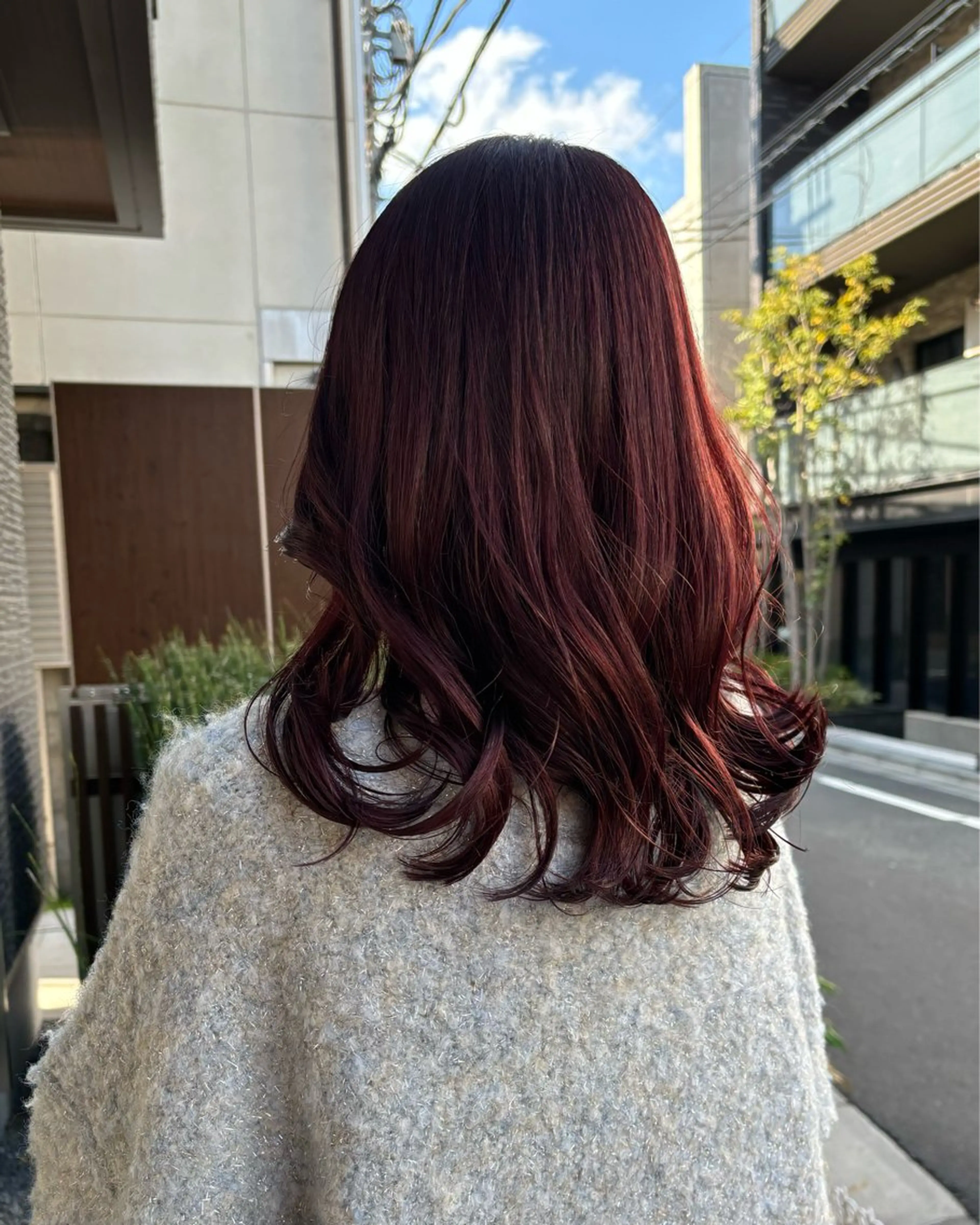ロング カラー ヘアアレンジ カシス レッドカラー Apero【アペロ】所属・パーマ/暖色/ボブ イワタテ🇰🇷のヘアスタイル