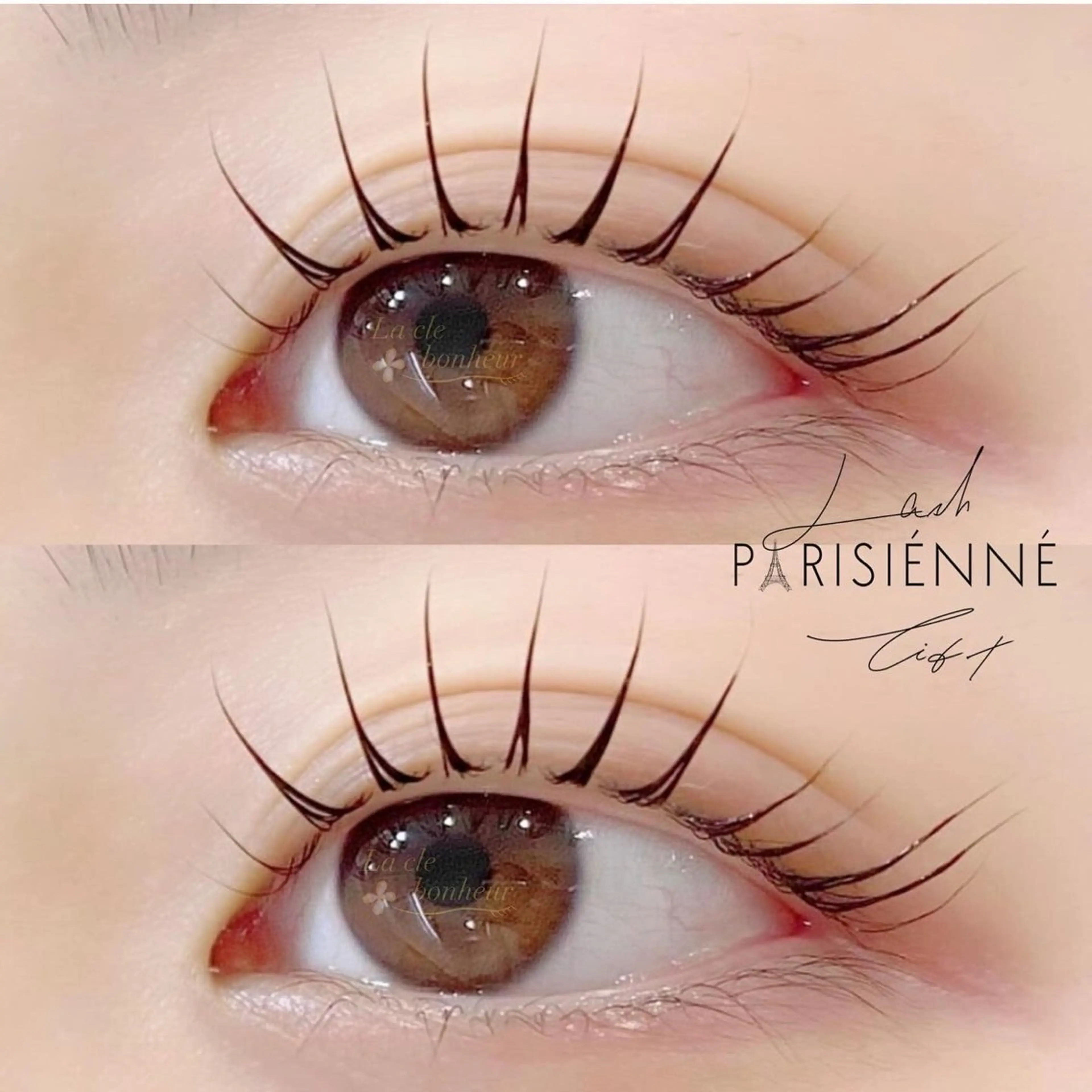 マツエク・マツパ パリジェンヌラッシュリフト IRIS🫧 Ayaのマツエク・マツパデザイン