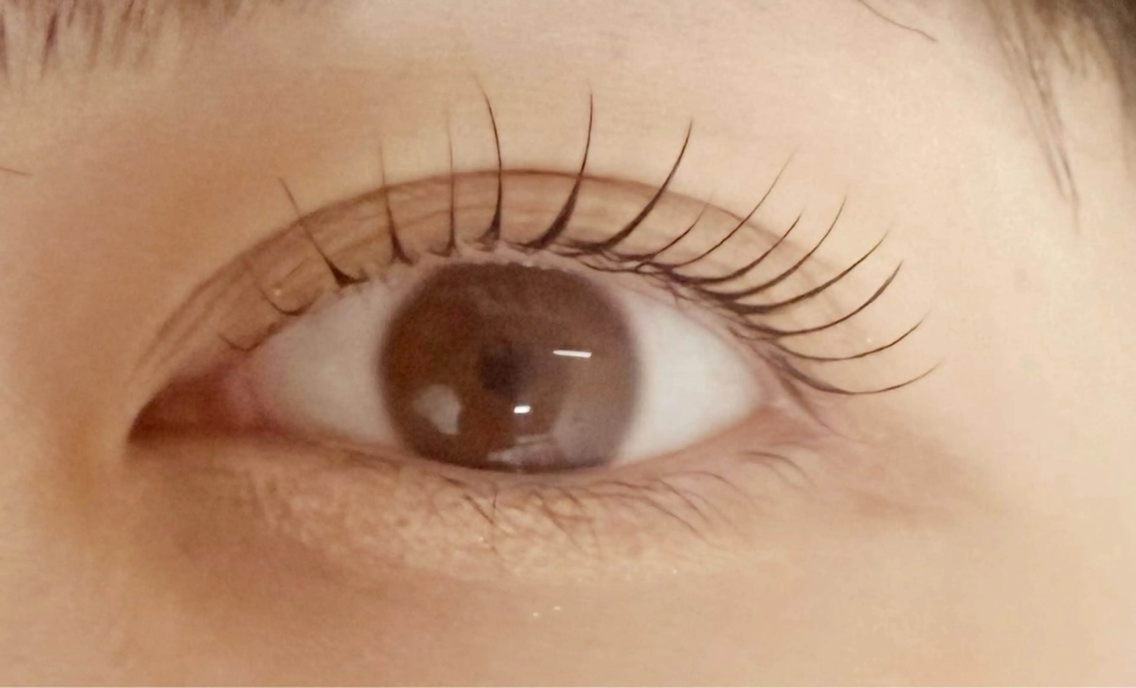 マツエク・マツパ haruka 【ever天神店】のマツエク・マツパデザイン