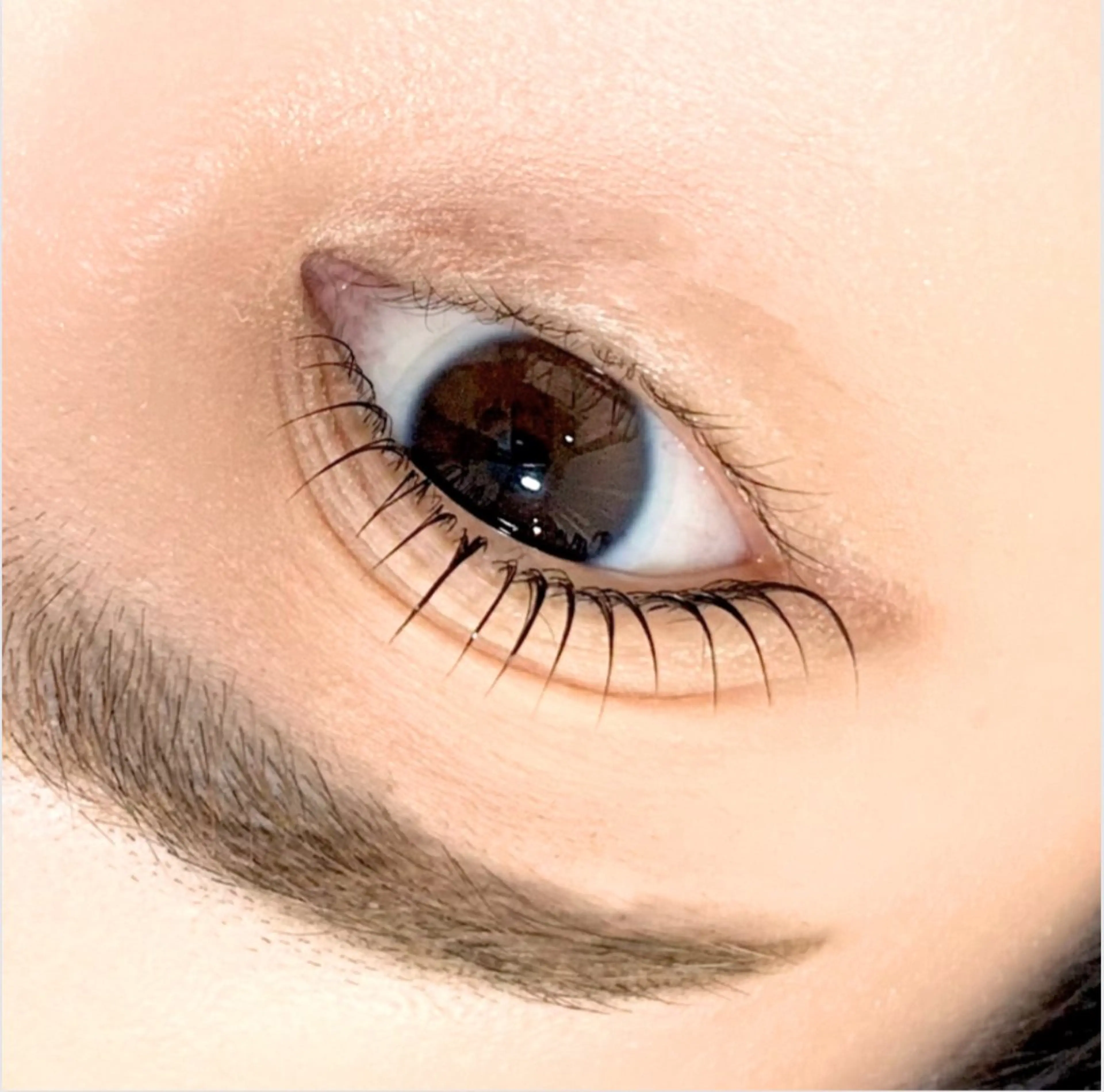 マツエク・マツパ GYPSOPHI所属・GYPSOPHI ジプソフィーのマツエク・マツパデザイン