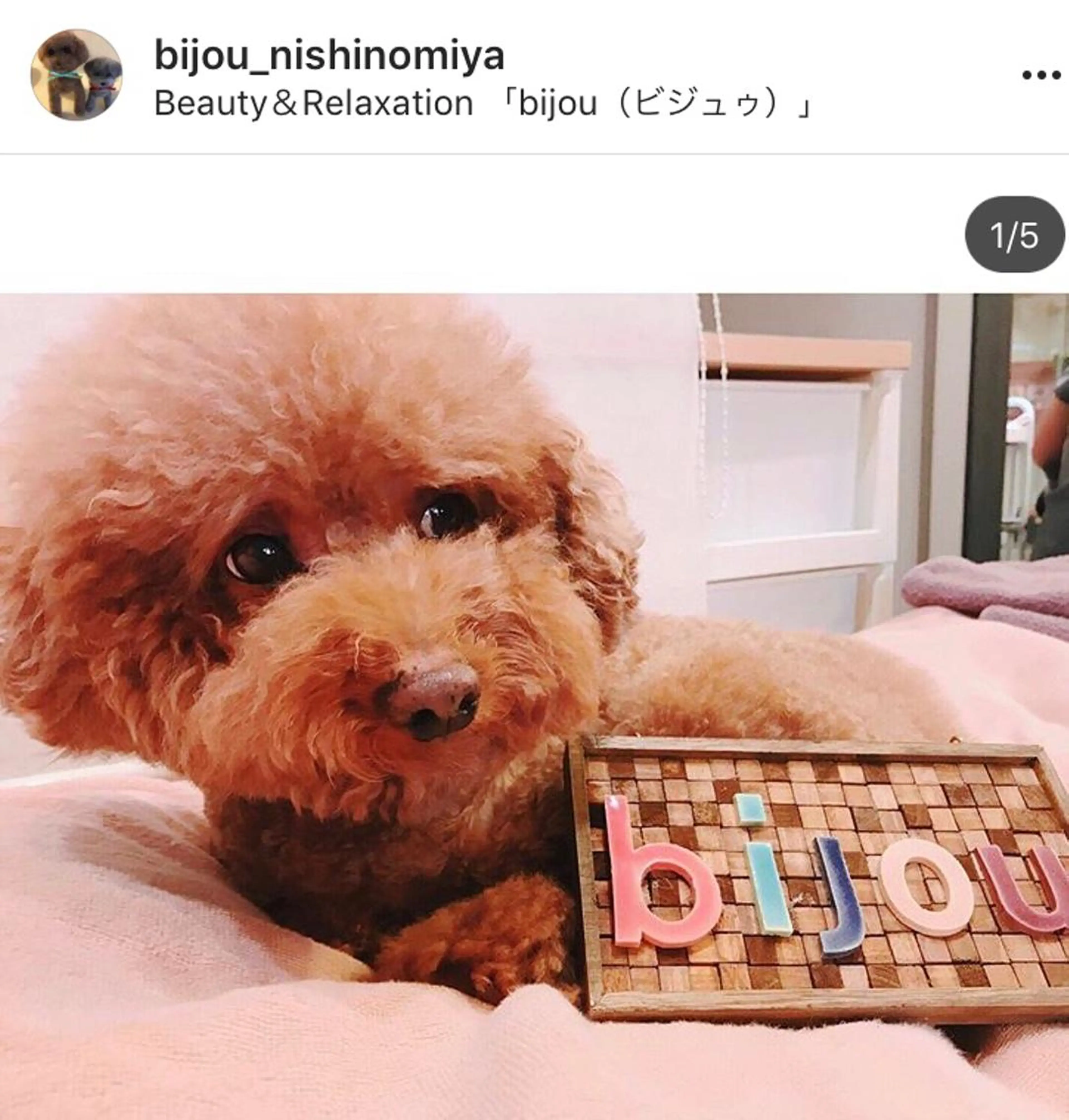 ビジュゥ夙川 ♪まほのマツエク・マツパデザイン