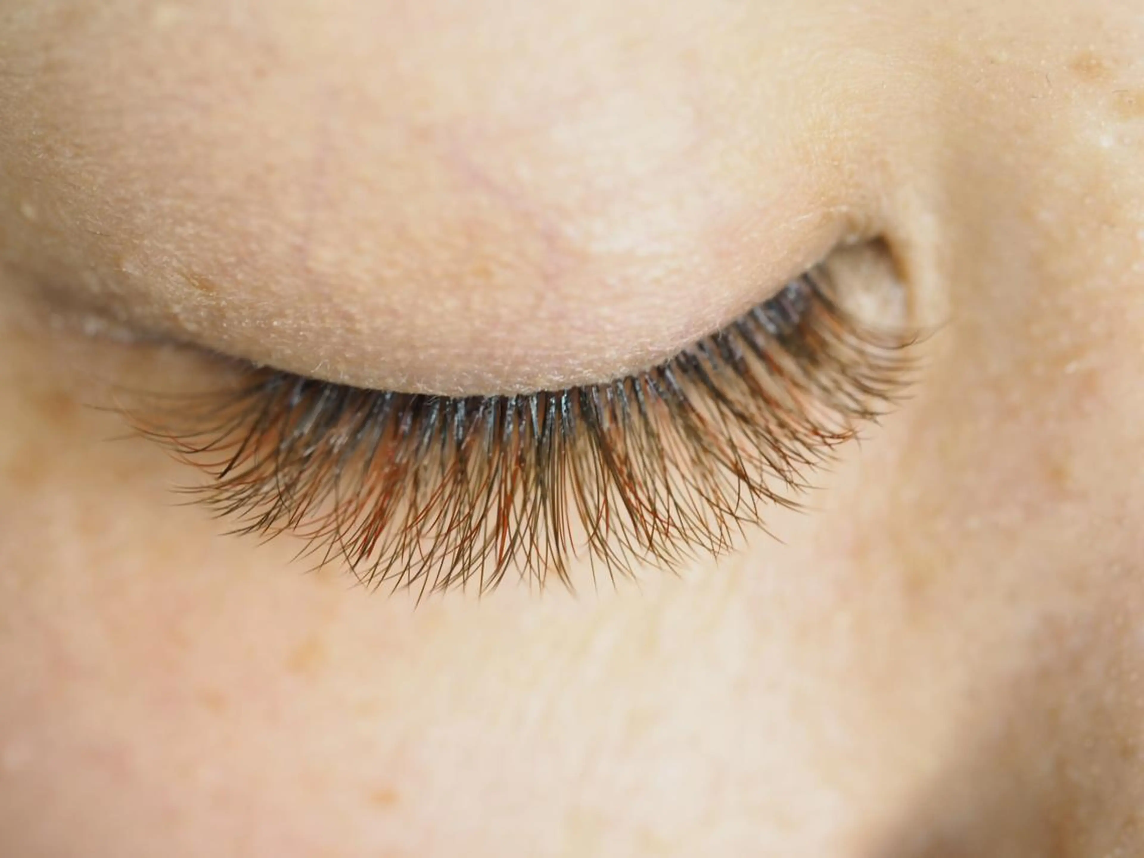 マツエク・マツパ カラーマツエク ボリュームラッシュ KAINALU. eye beauty salon所属・逆まつ毛/LED/ アンドヘルシー専門のマツエク・マツパデザイン