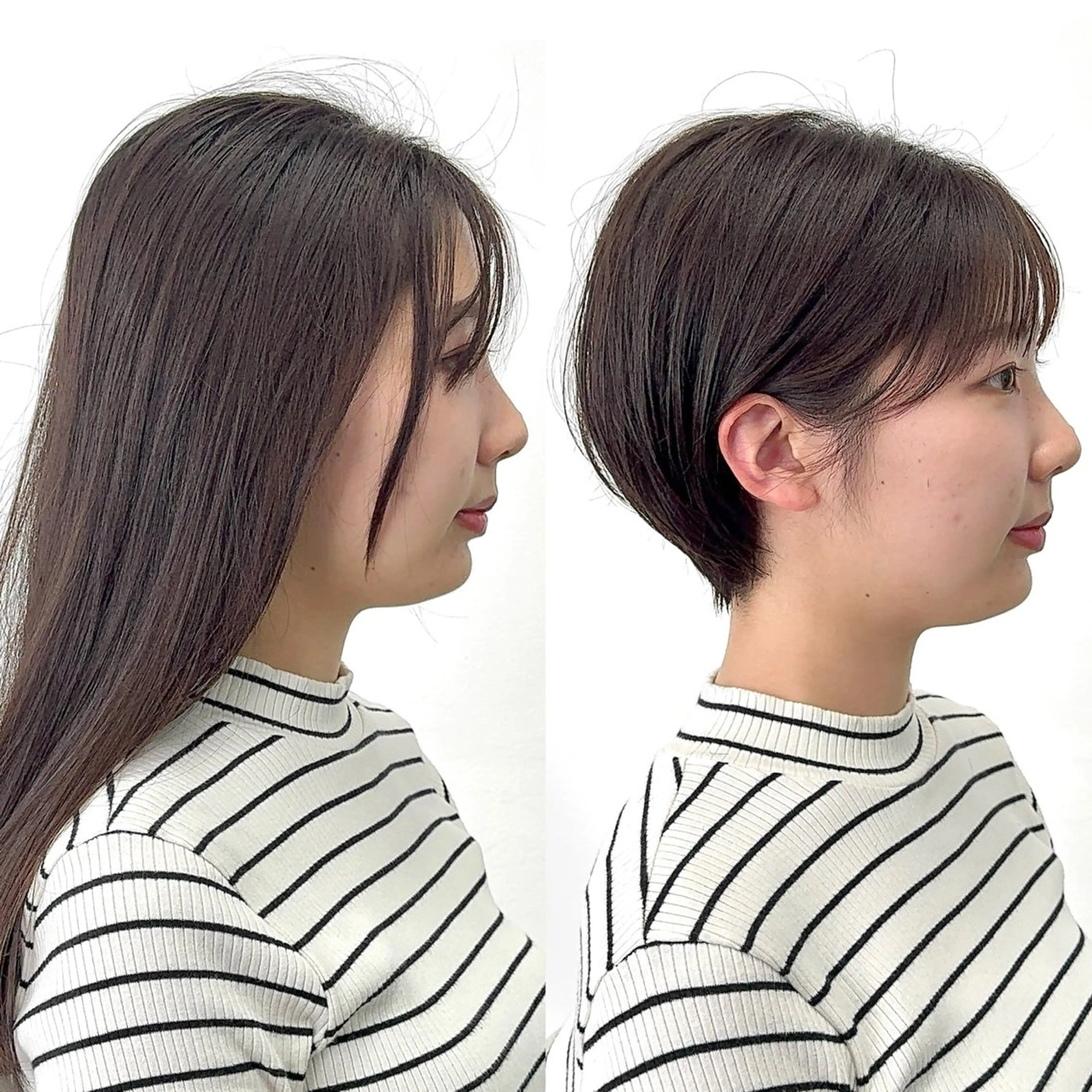ショート トリートメント カット ヘアカラー トリートメント ショートカット特化 本田翔のヘアスタイル