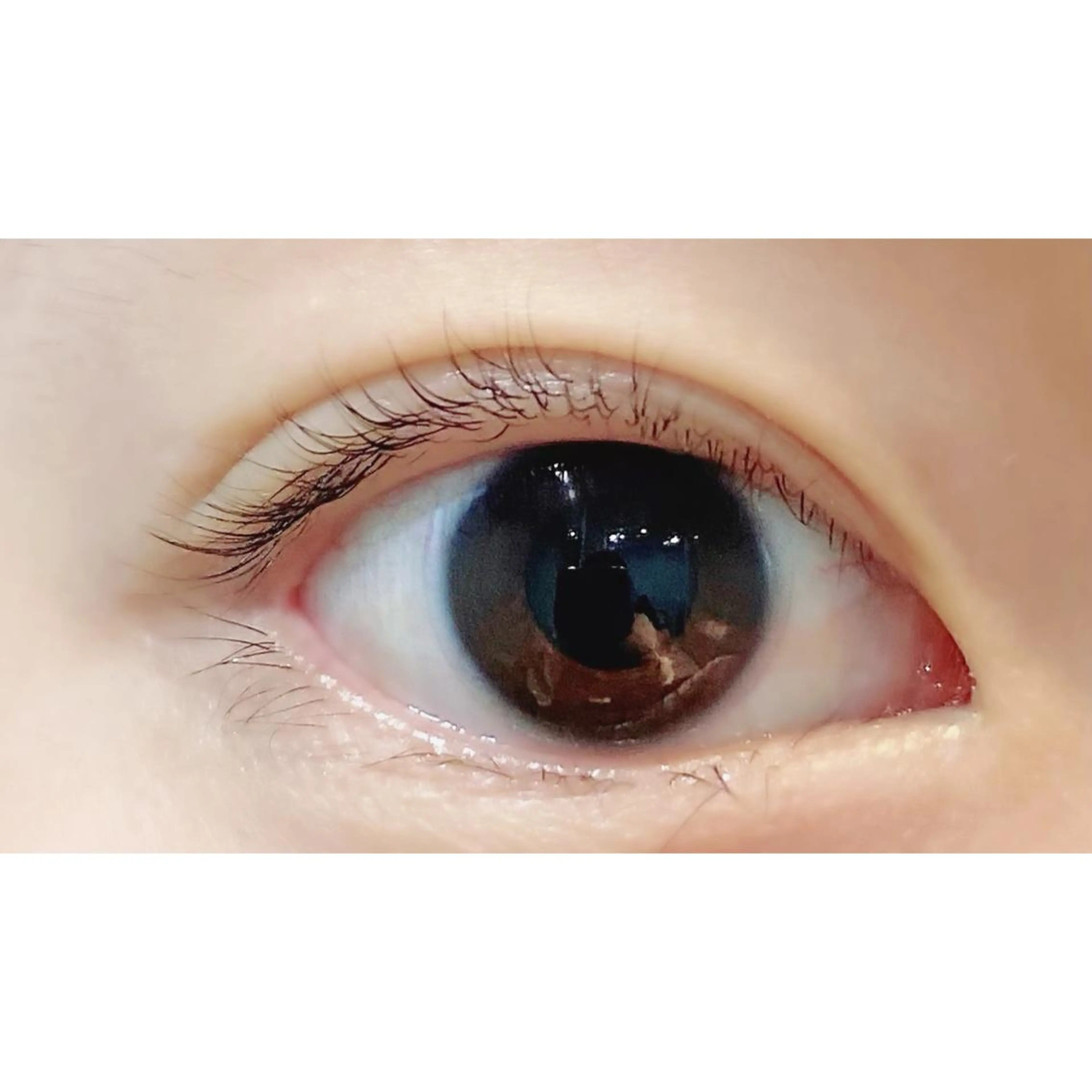 マツエク・マツパ パリジェンヌラッシュリフト Bianca 長津田店 長牛のマツエク・マツパデザイン