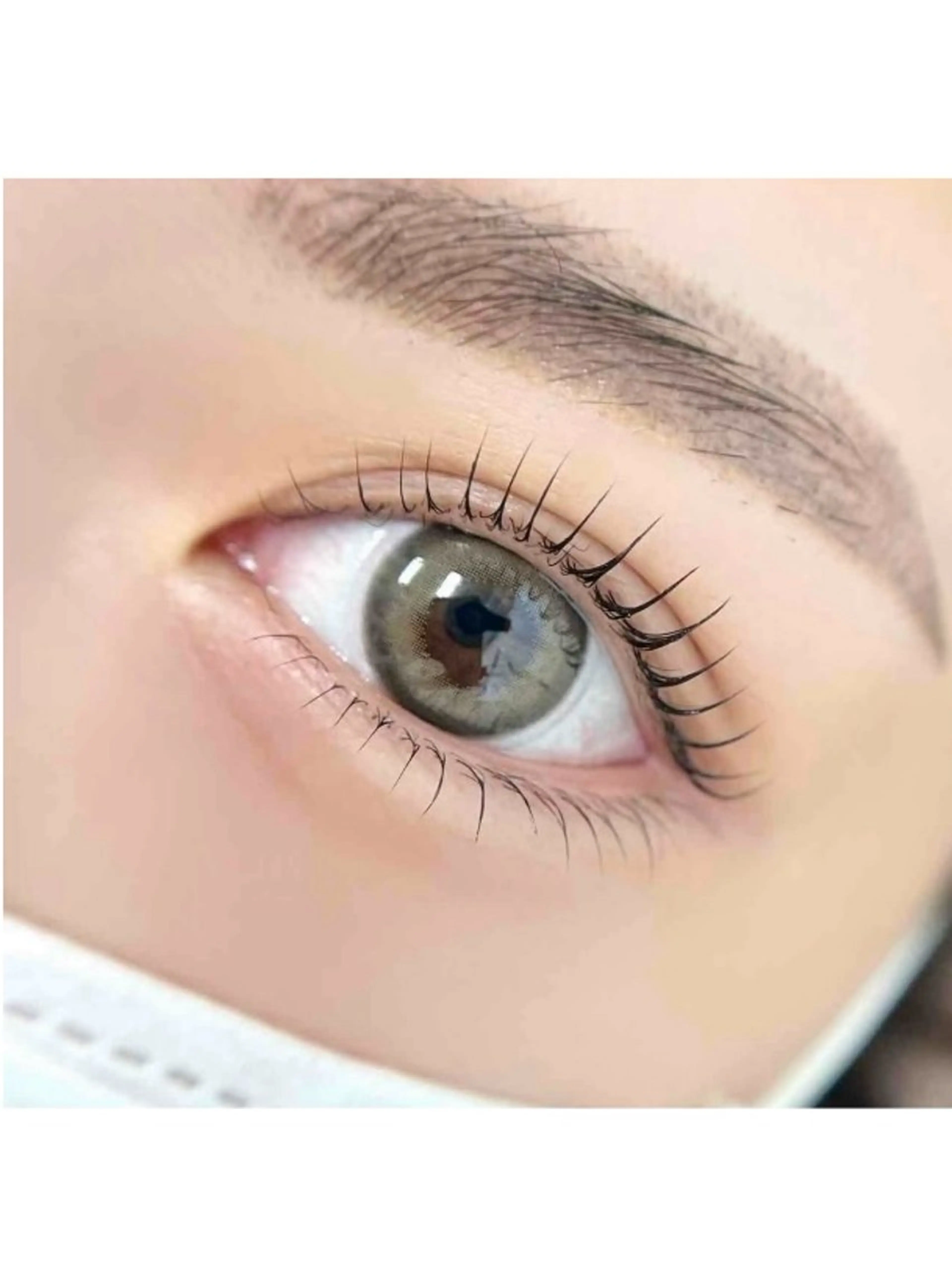 🎓平日学生限定✨パリジェンヌラッシュリフト上下セット👀の写真