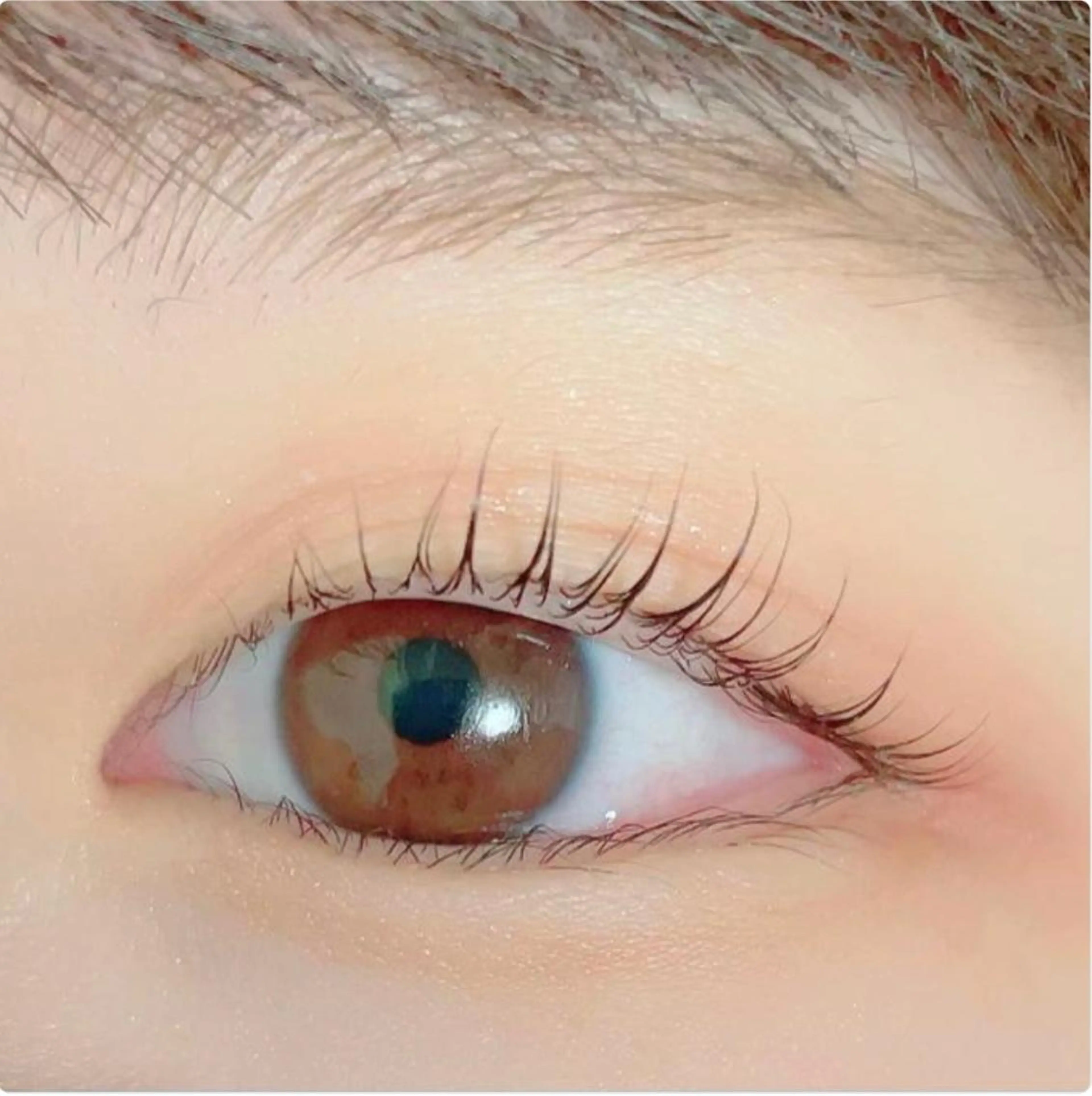 マツエク・マツパ 🌸Leviju桂店 店長Saki🌸のヘアスタイル