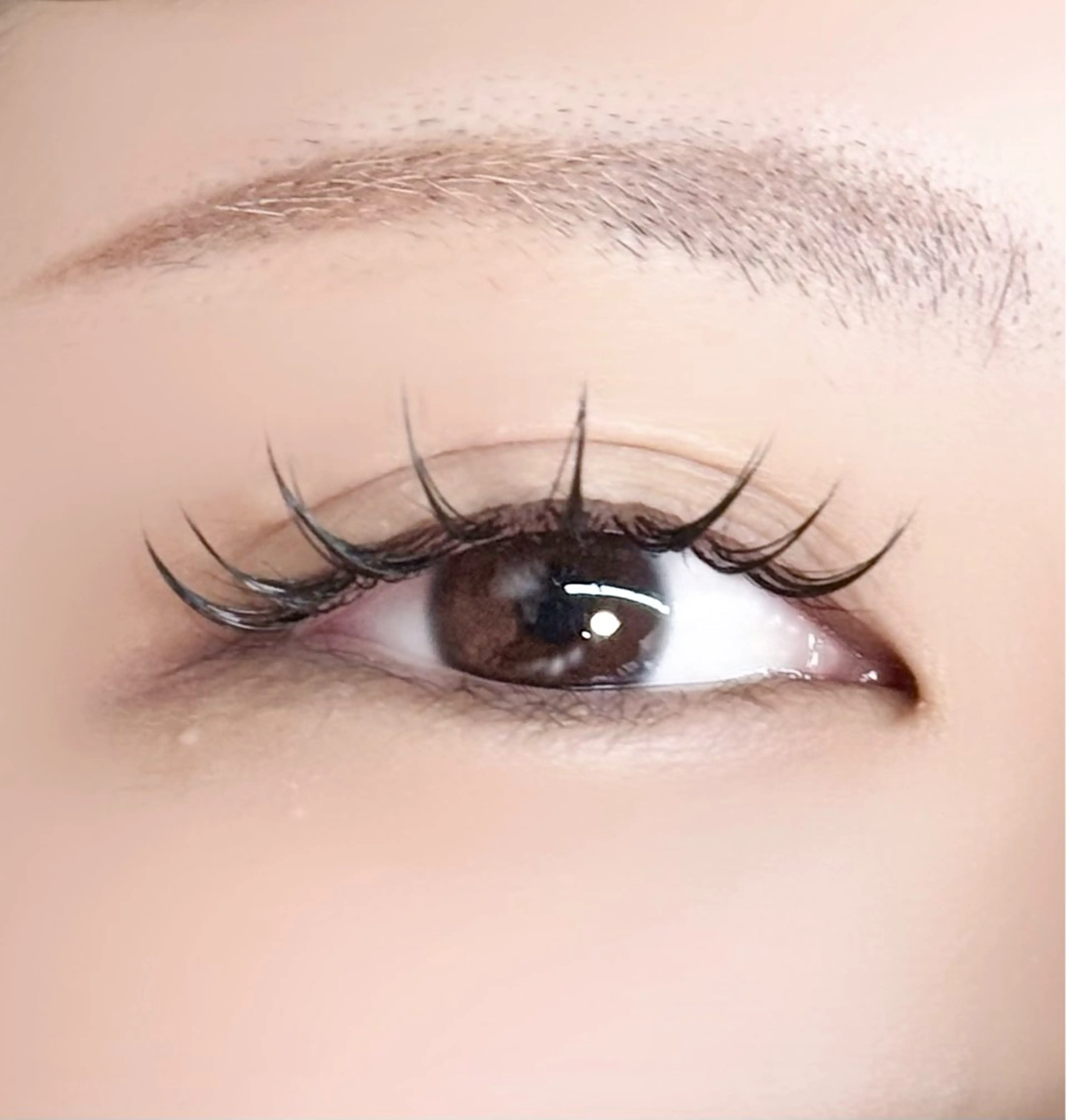 【ミニモ限定】LEDフラット100本まで🫧束感仕上げ♪の写真