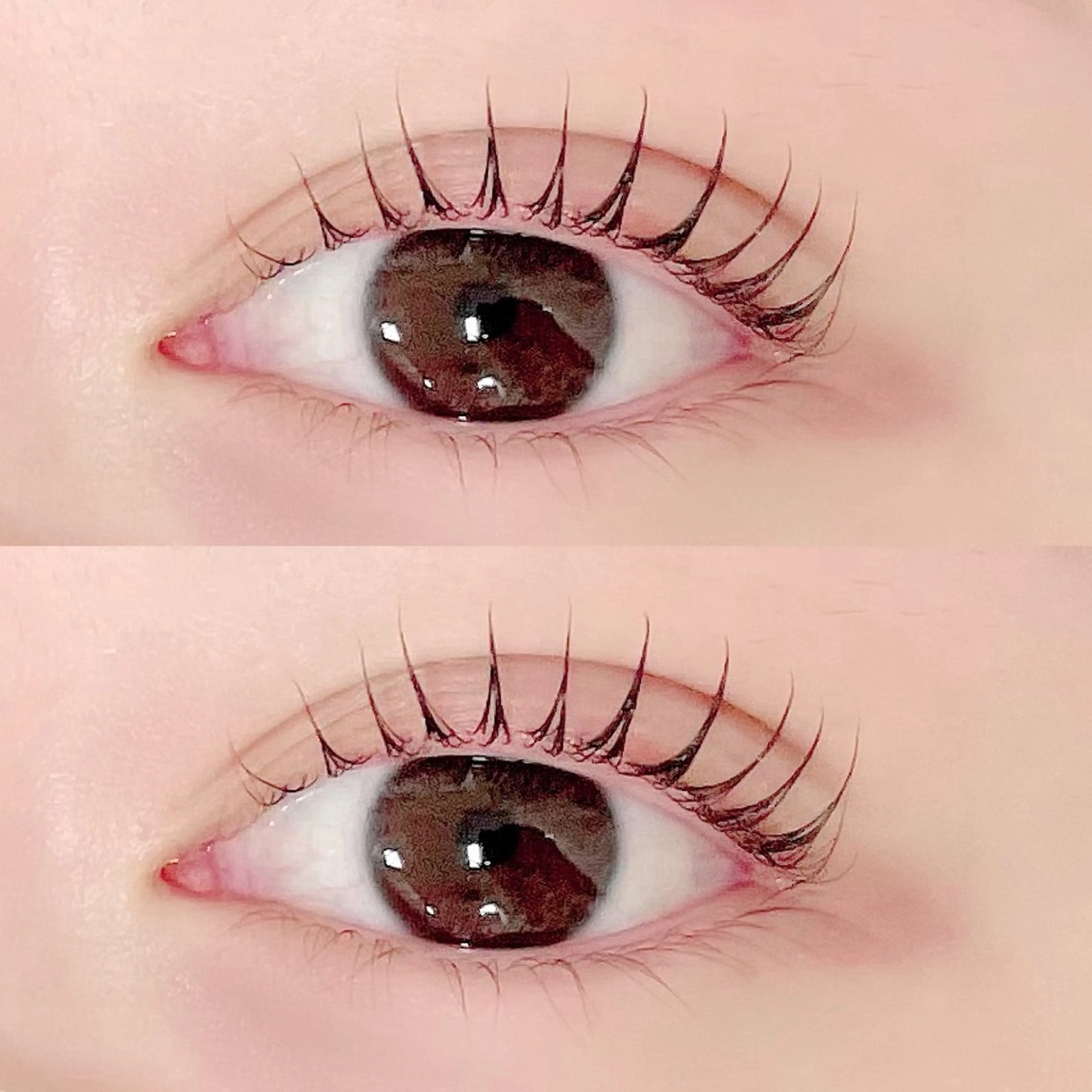 マツエク・マツパ パリジェンヌラッシュリフト マツパ FASTLASH🦋 パリジェンヌのマツエク・マツパデザイン