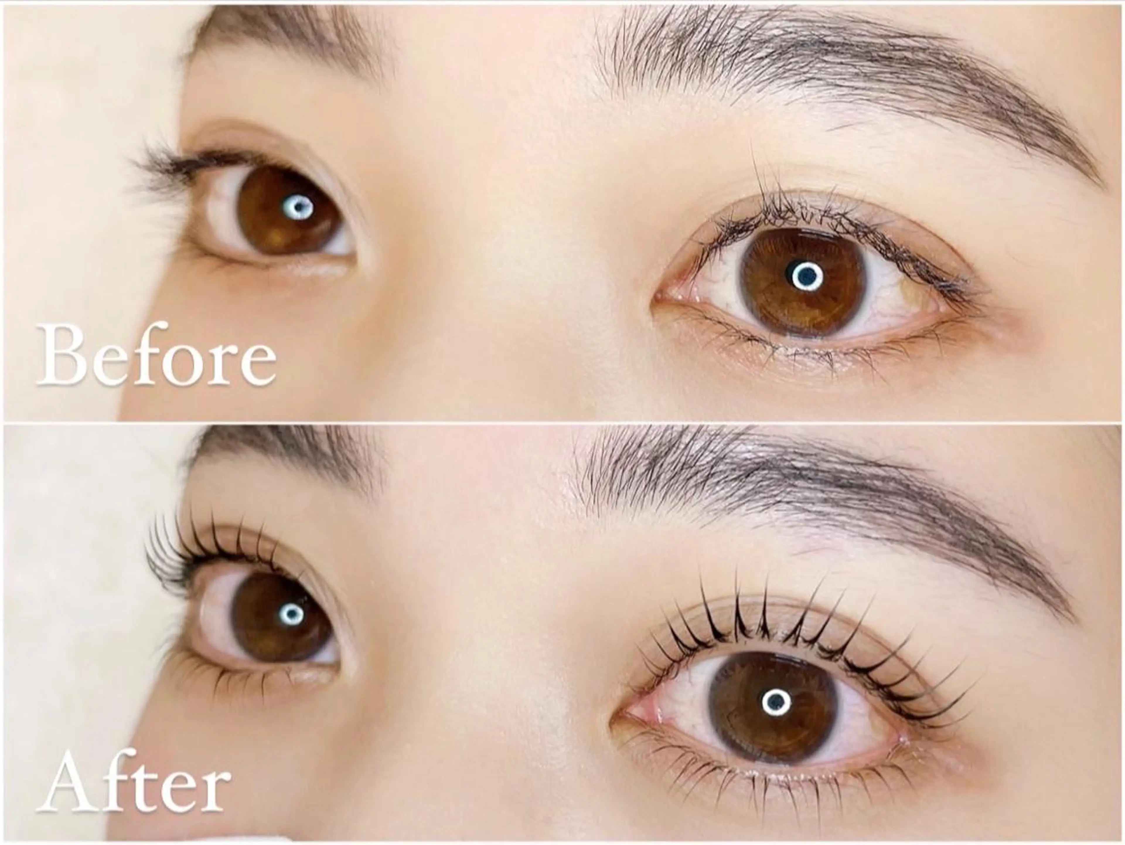 マツエク・マツパ パリジェンヌラッシュリフト マツパ Po eyelash ･:* 下北沢のマツエク・マツパデザイン