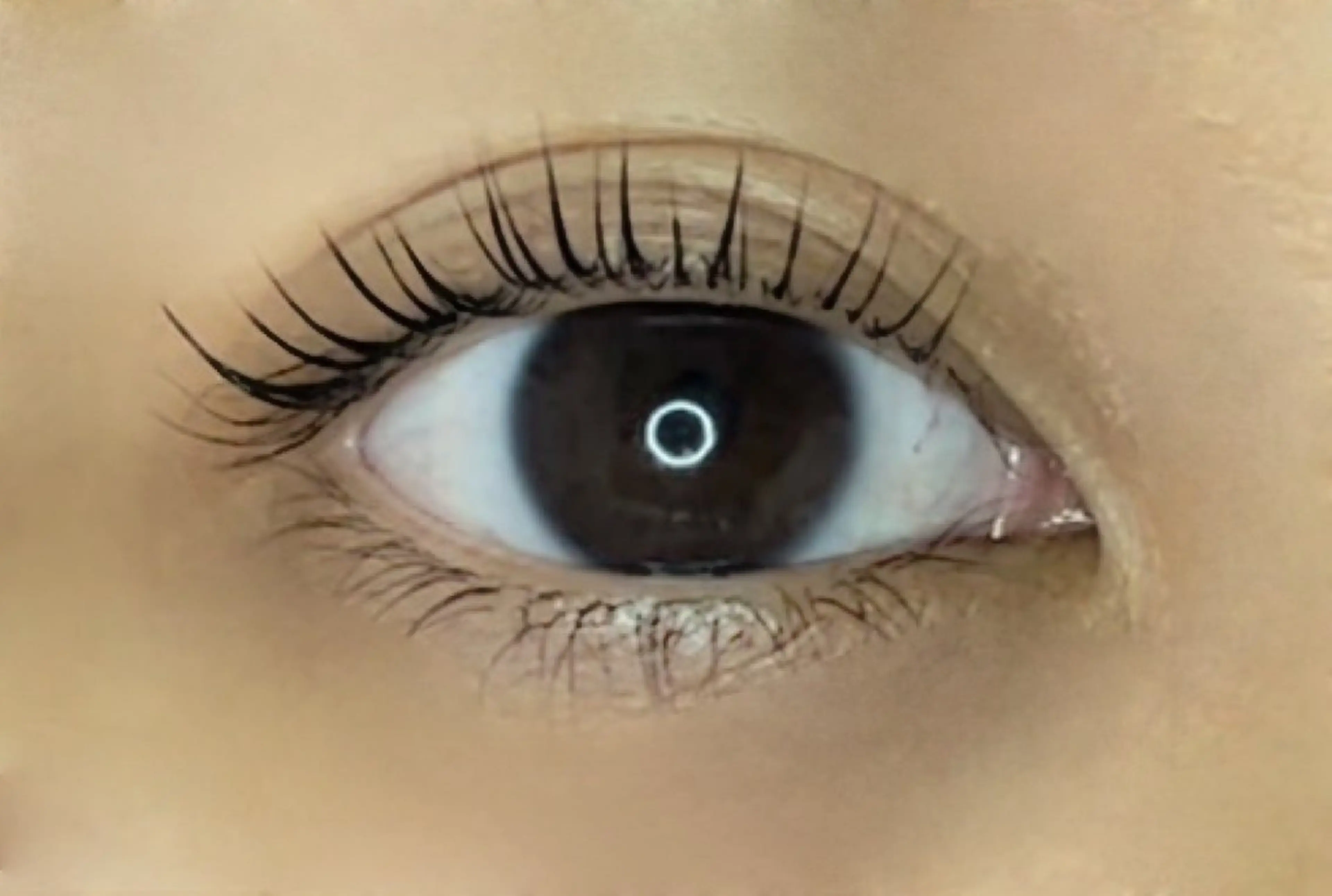 マツエク・マツパ eye lash🌼 FLEVEのマツエク・マツパデザイン