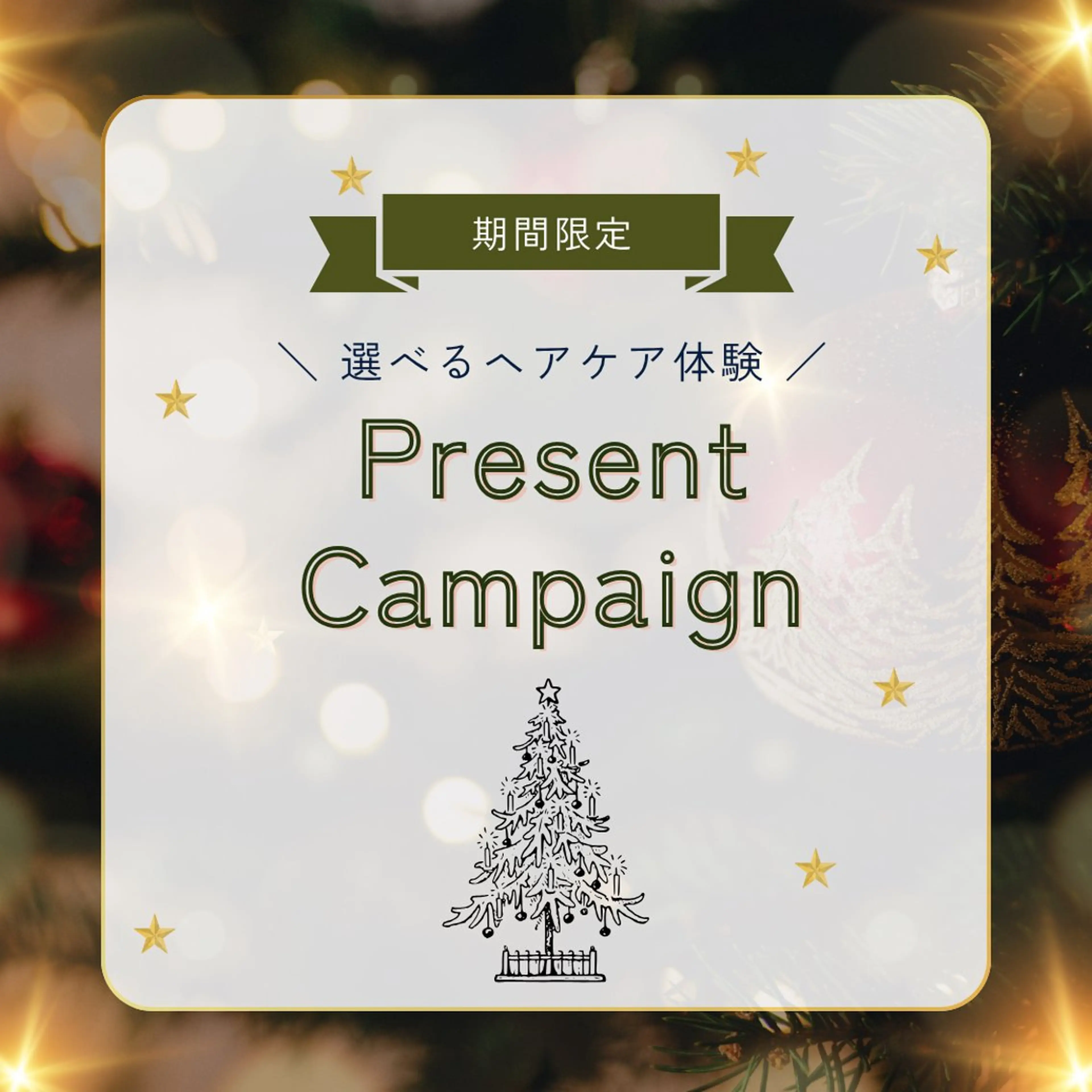 『 髪にも1年間のご褒美を 』🎄年末限定🎄“タイプ別に選べる!”髪質改善トリートメント+カットの写真