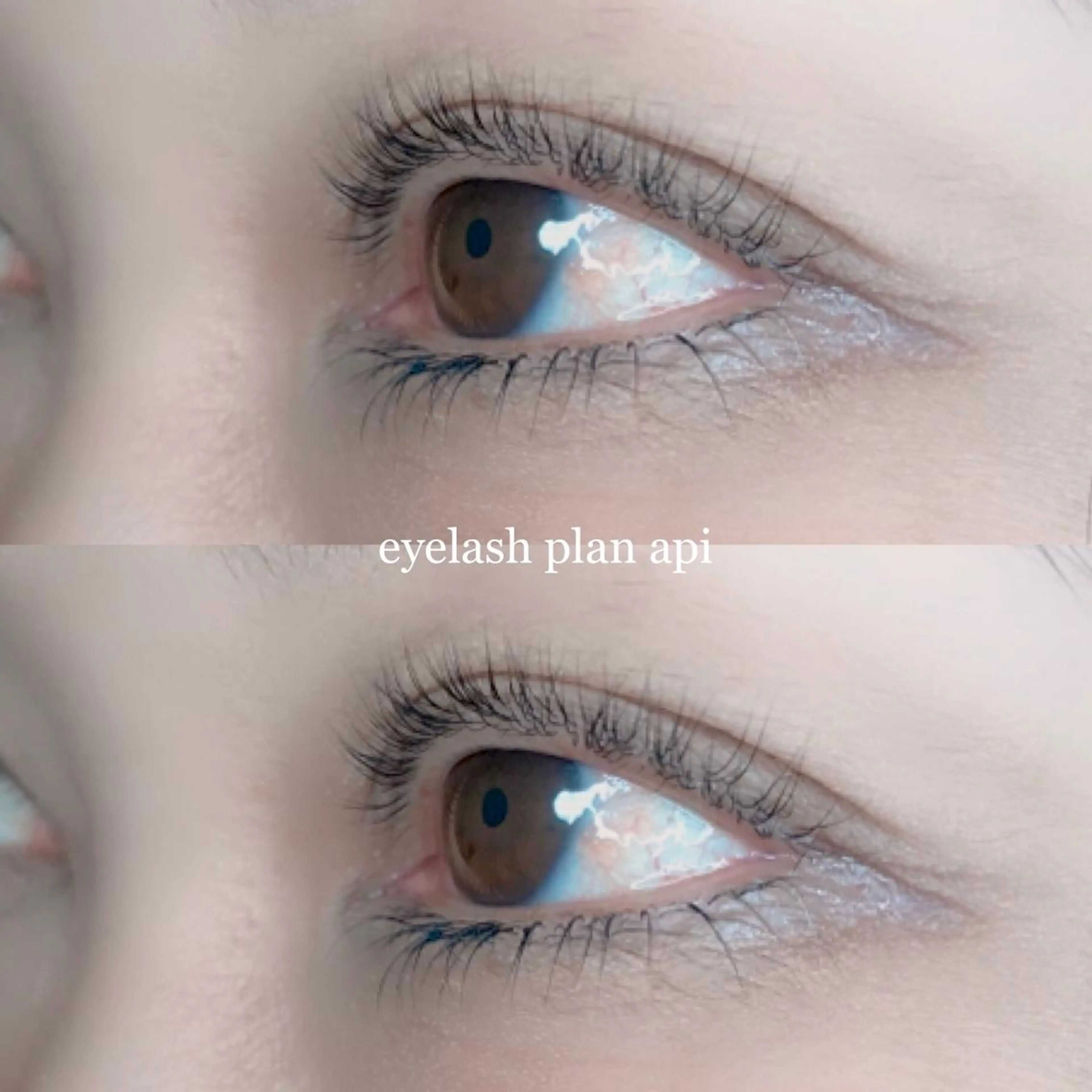 マツエク・マツパ マツパ 《eyelash ｉｉｔｅ》森のマツエク・マツパデザイン