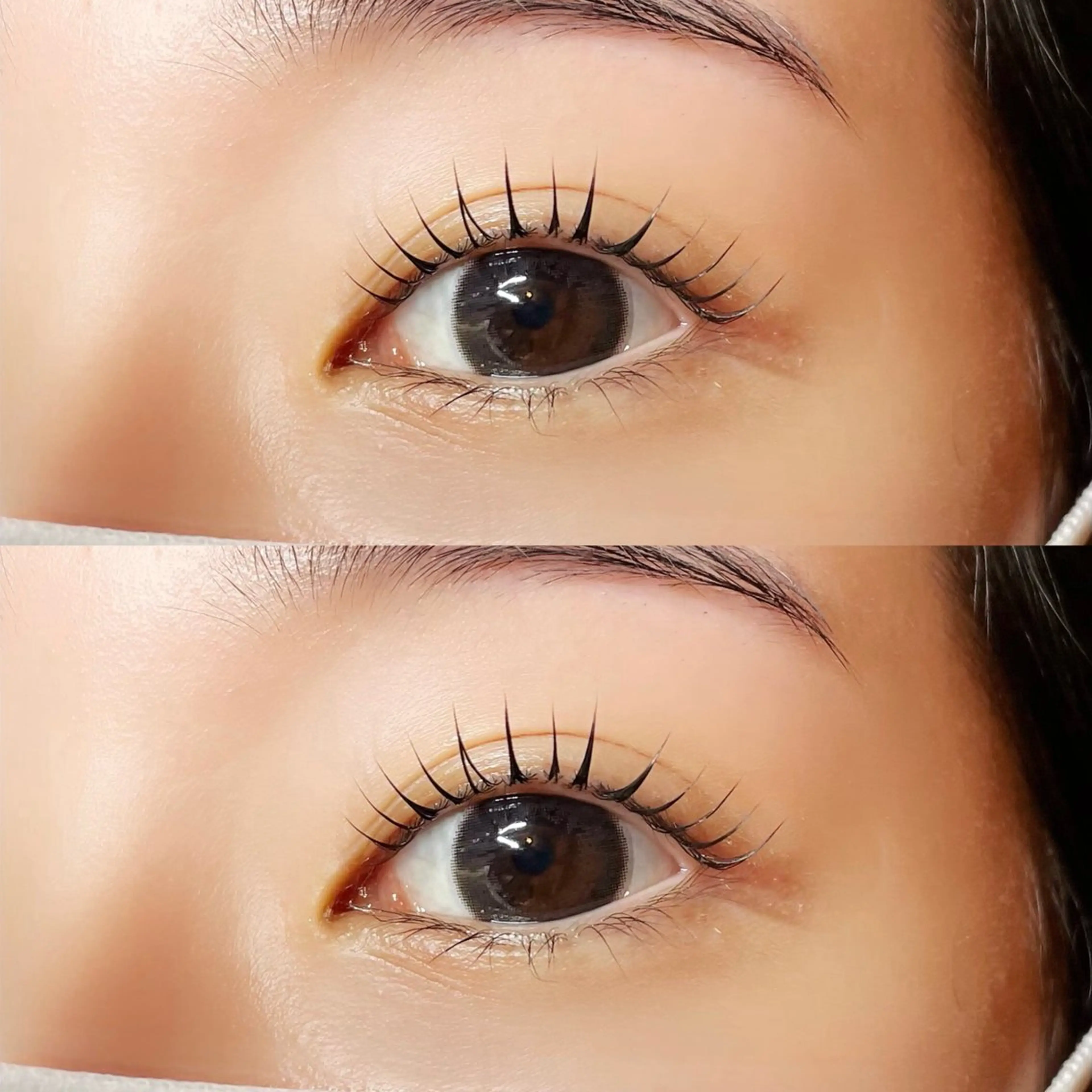 パリジェンヌラッシュリフト🌹の写真