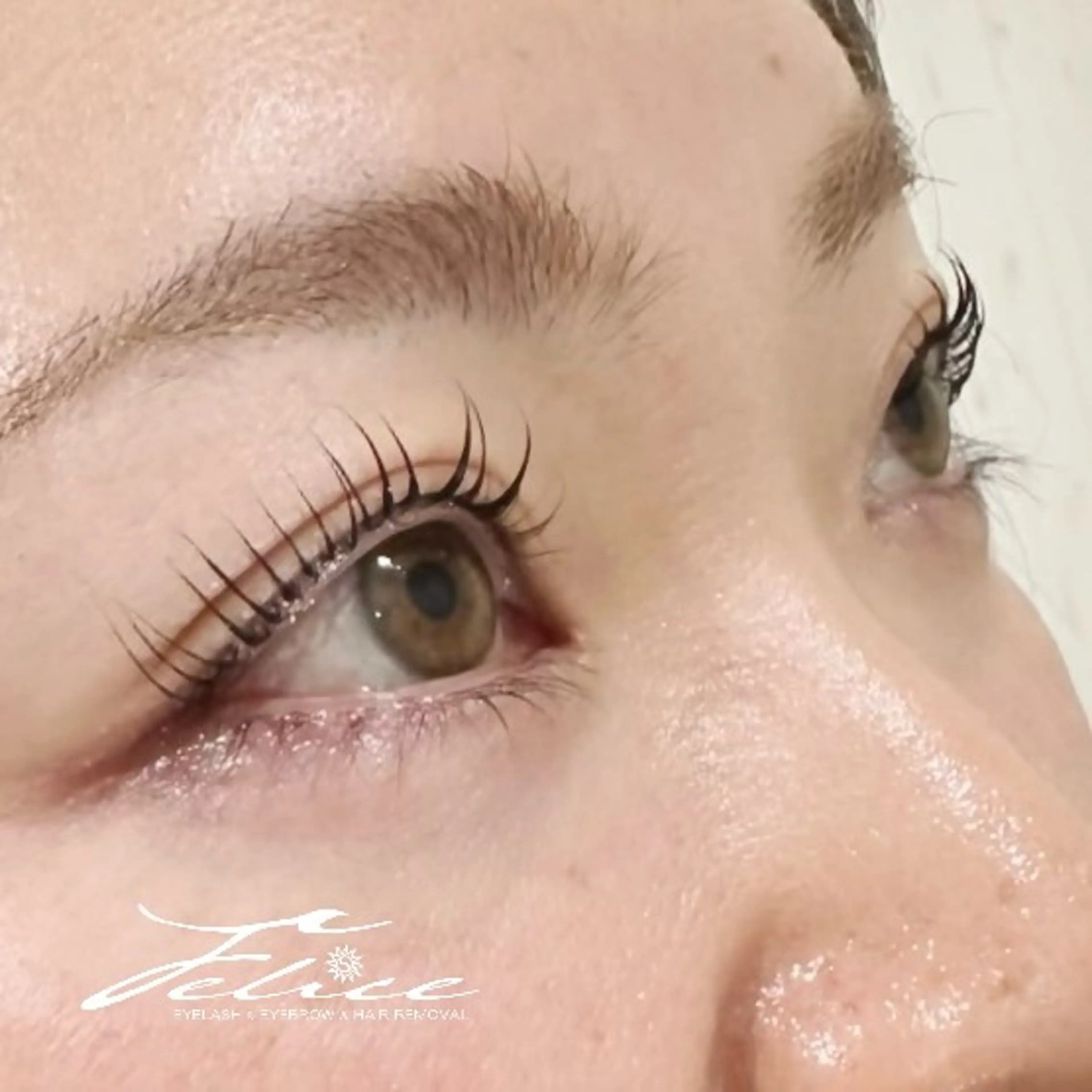 マツエク・マツパ マツパ Felice学芸大学/まつげ/眉毛専門サロン所属・Felice AYAの眉毛・アイブロウイメージ