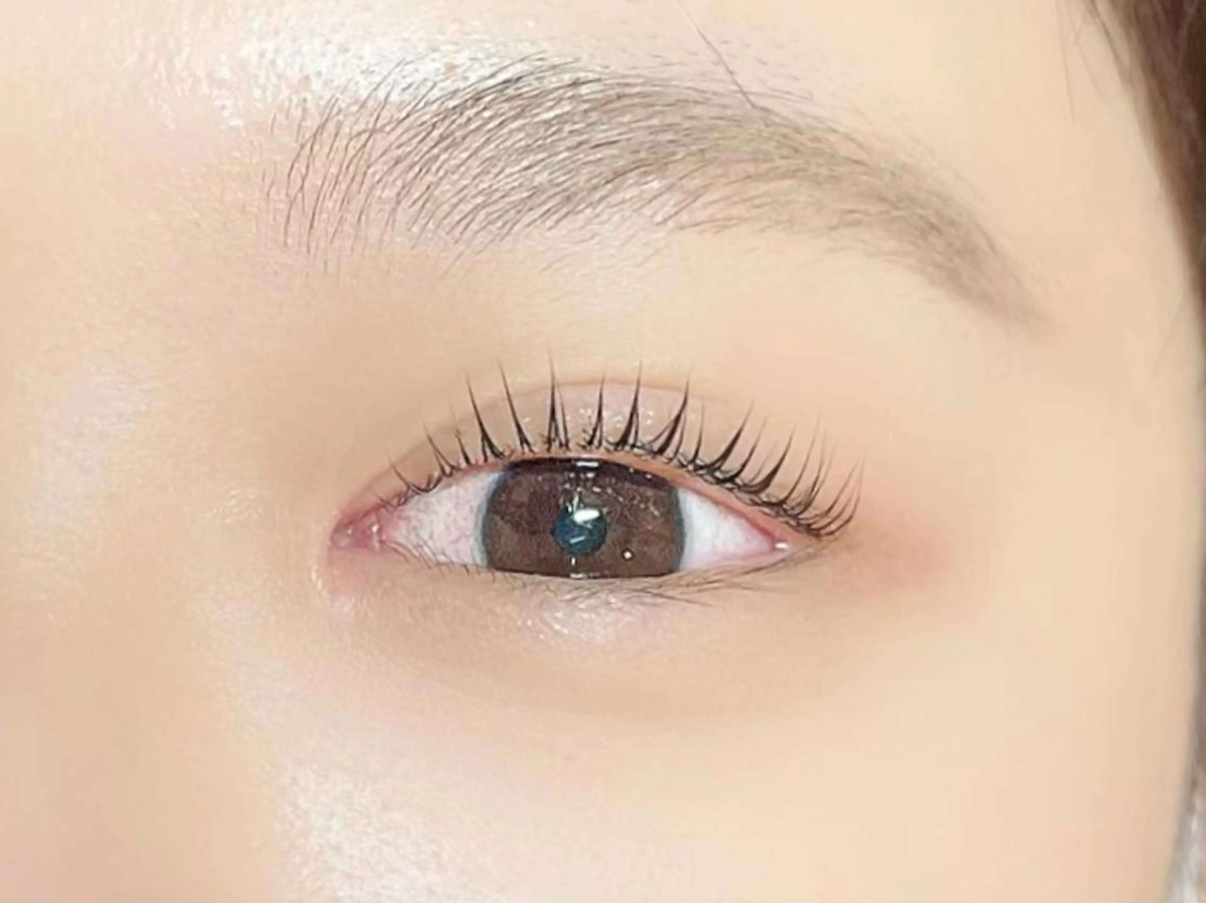 マツエク・マツパ daisy lash 天王寺の眉毛・アイブロウイメージ