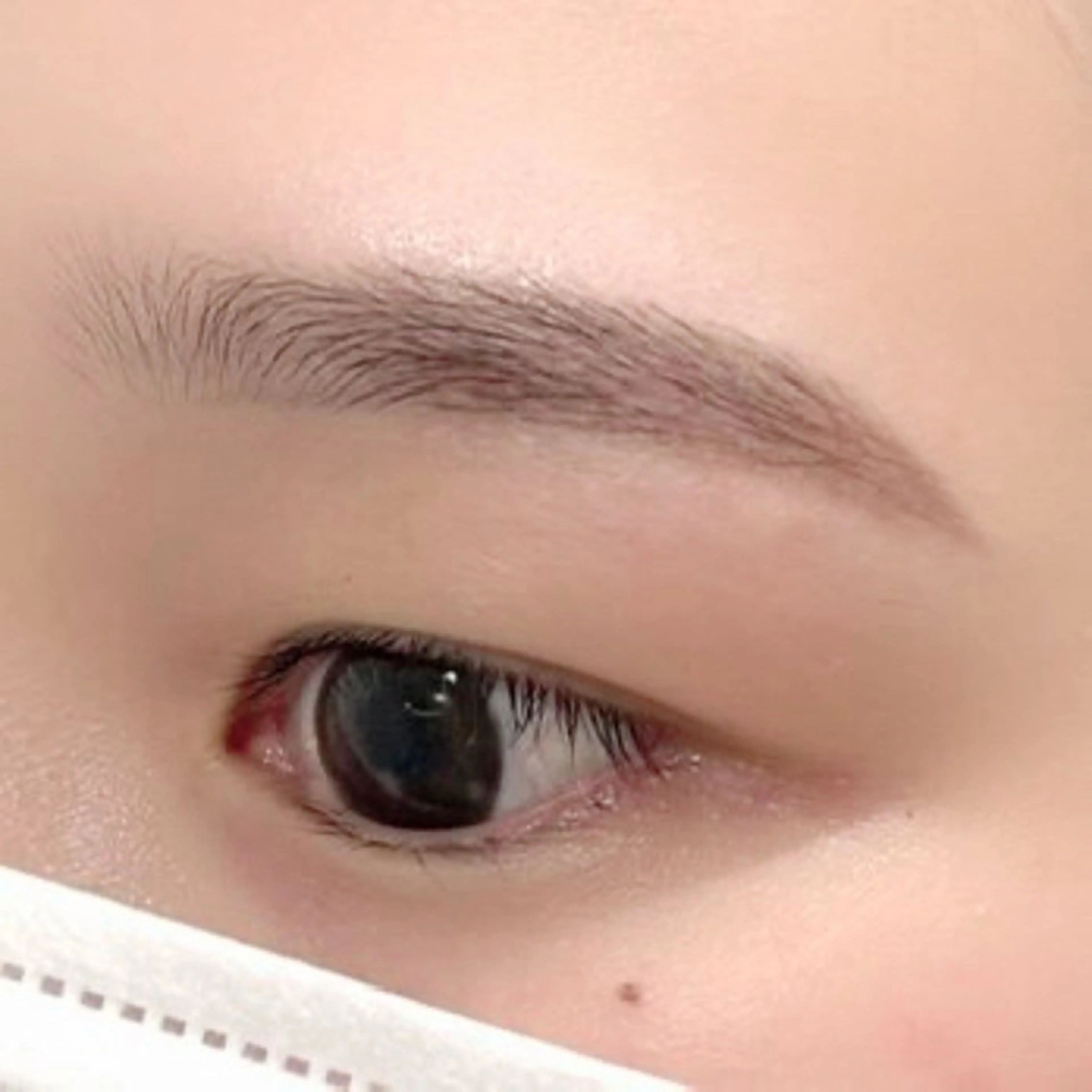 【眉ワックス脱毛】似合わせカウンセリング・間引き・お仕上げメイク付🍒の写真