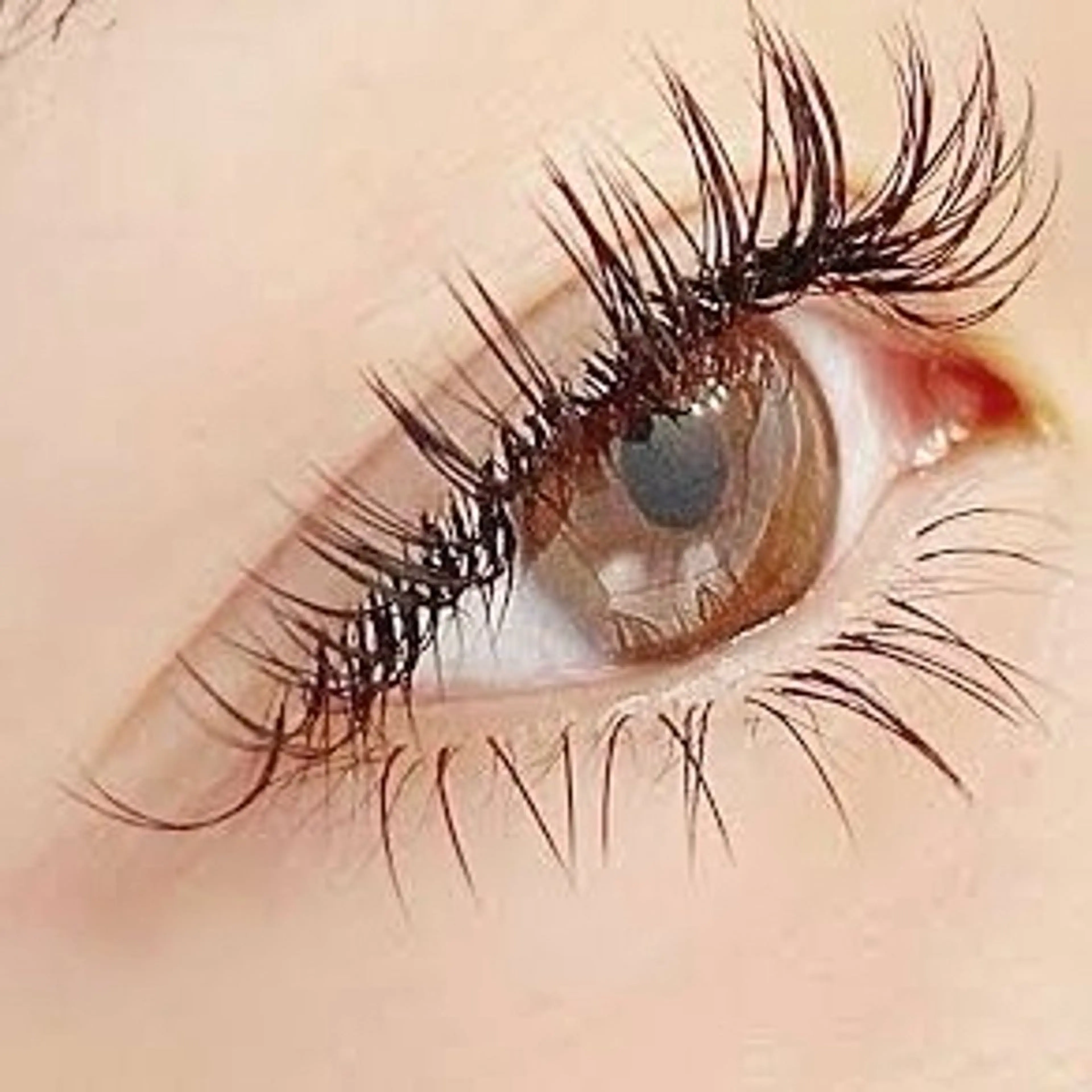 【練習モデル】下まつ毛エクステ　FIT LASH 40本の写真