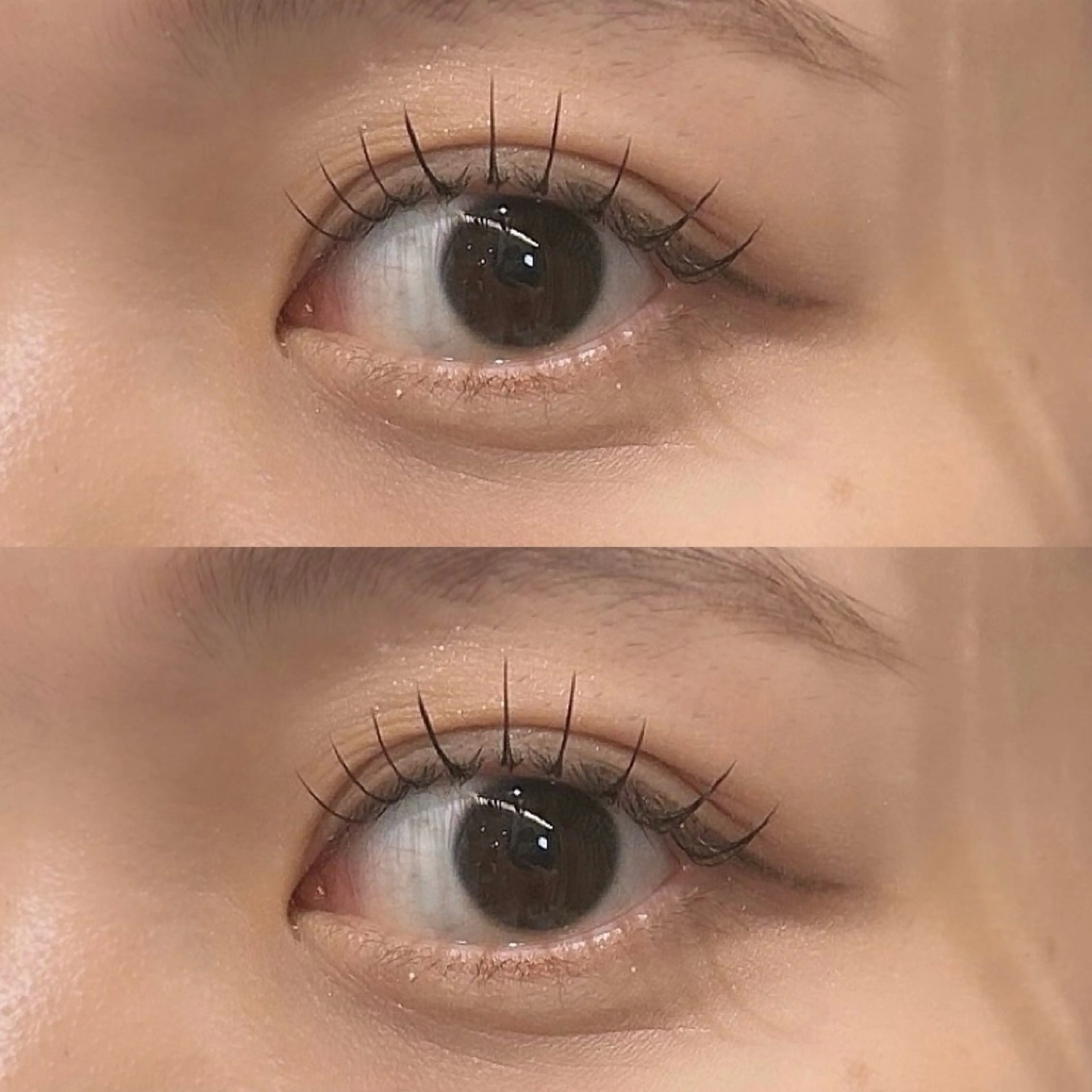 マツエク・マツパ マツエク hair&eye🎀 /momoKaのマツエク・マツパデザイン