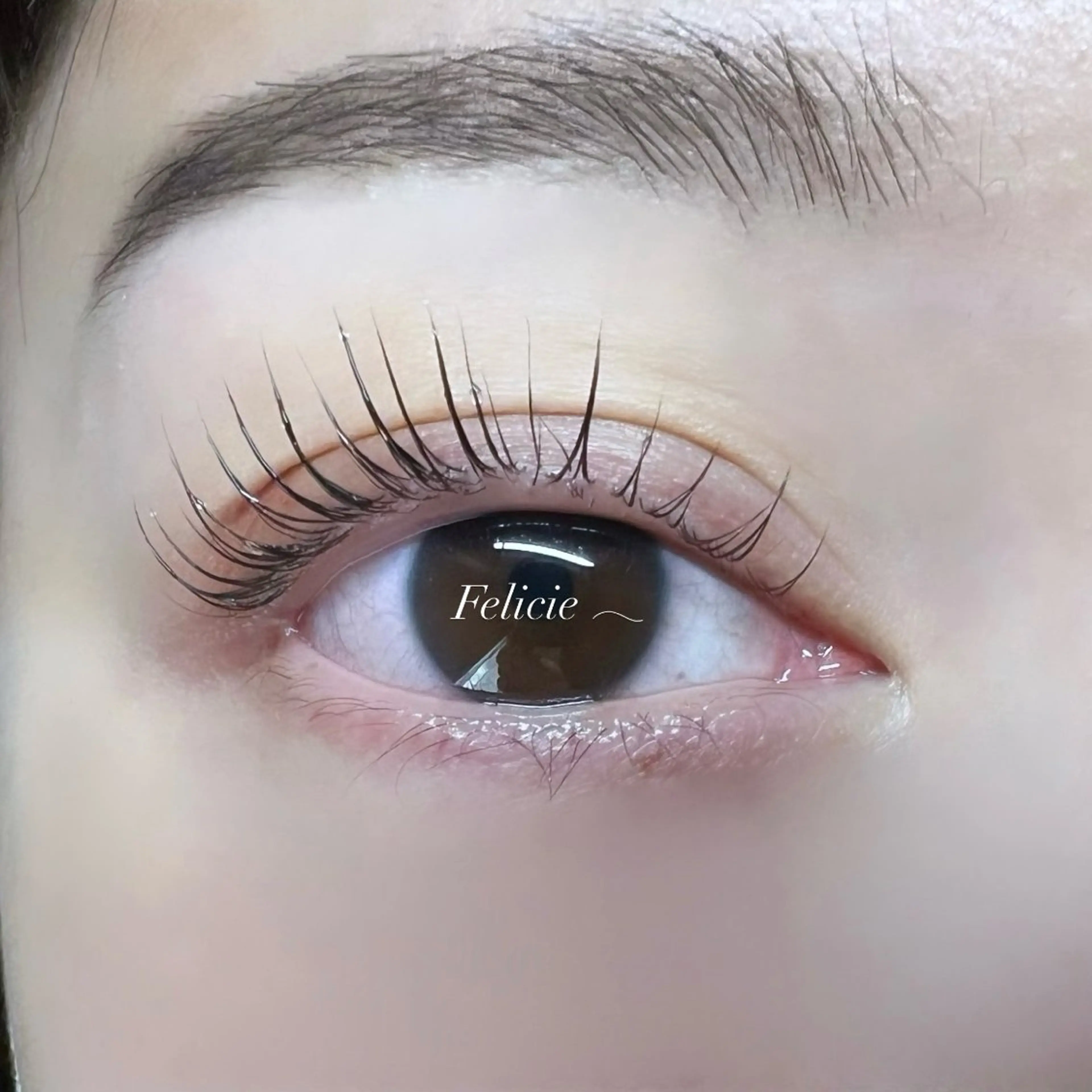 マツエク・マツパ パリジェンヌラッシュリフト 一重×まつ毛パーマ ワンホンマツエク マツパ Felicie＊ Sayakaのマツエク・マツパデザイン
