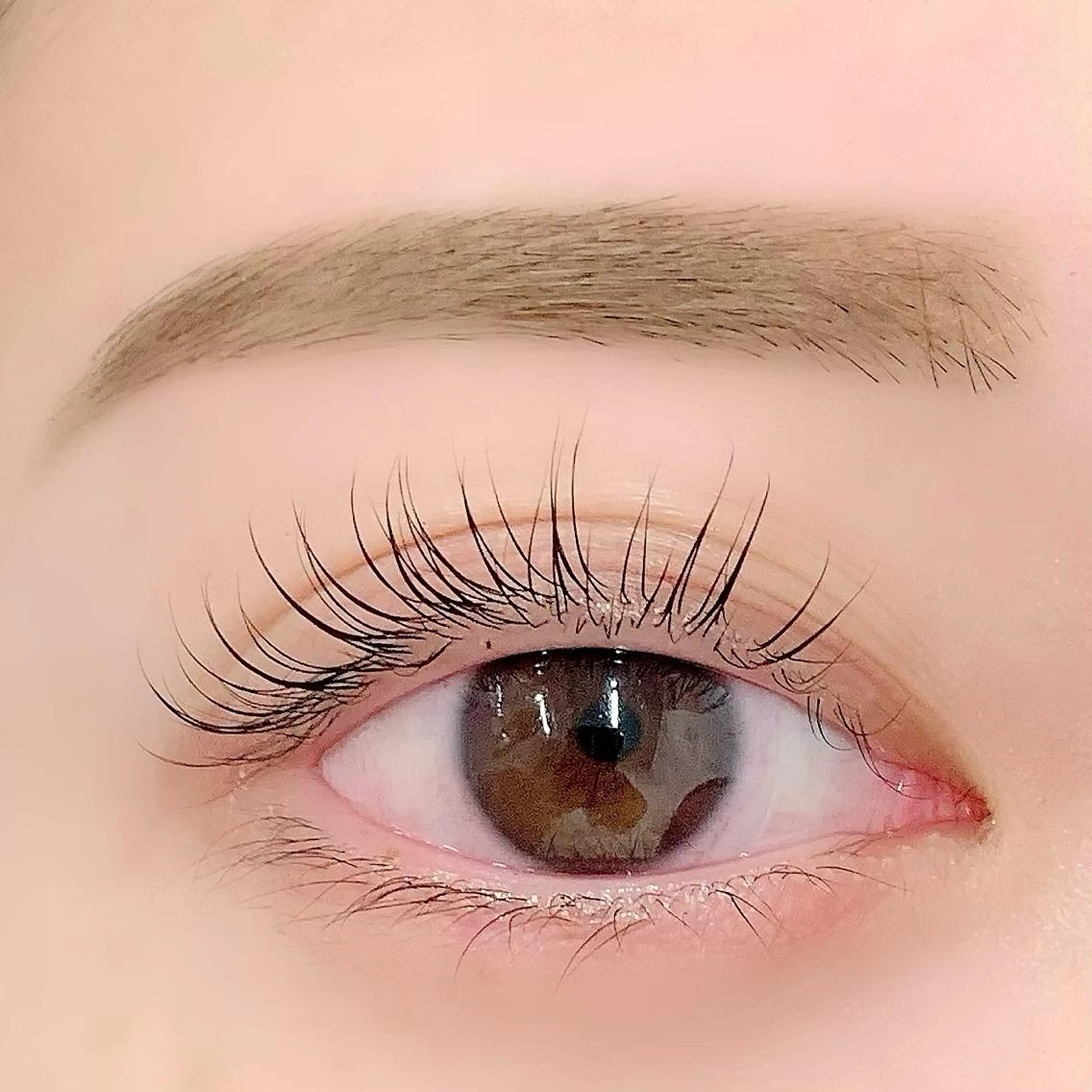 マツエク・マツパ アイブロウ 眉毛ワックス脱毛 まつげパーマ BellFlower Aki（眉・まつげ）のマツエク・マツパデザイン