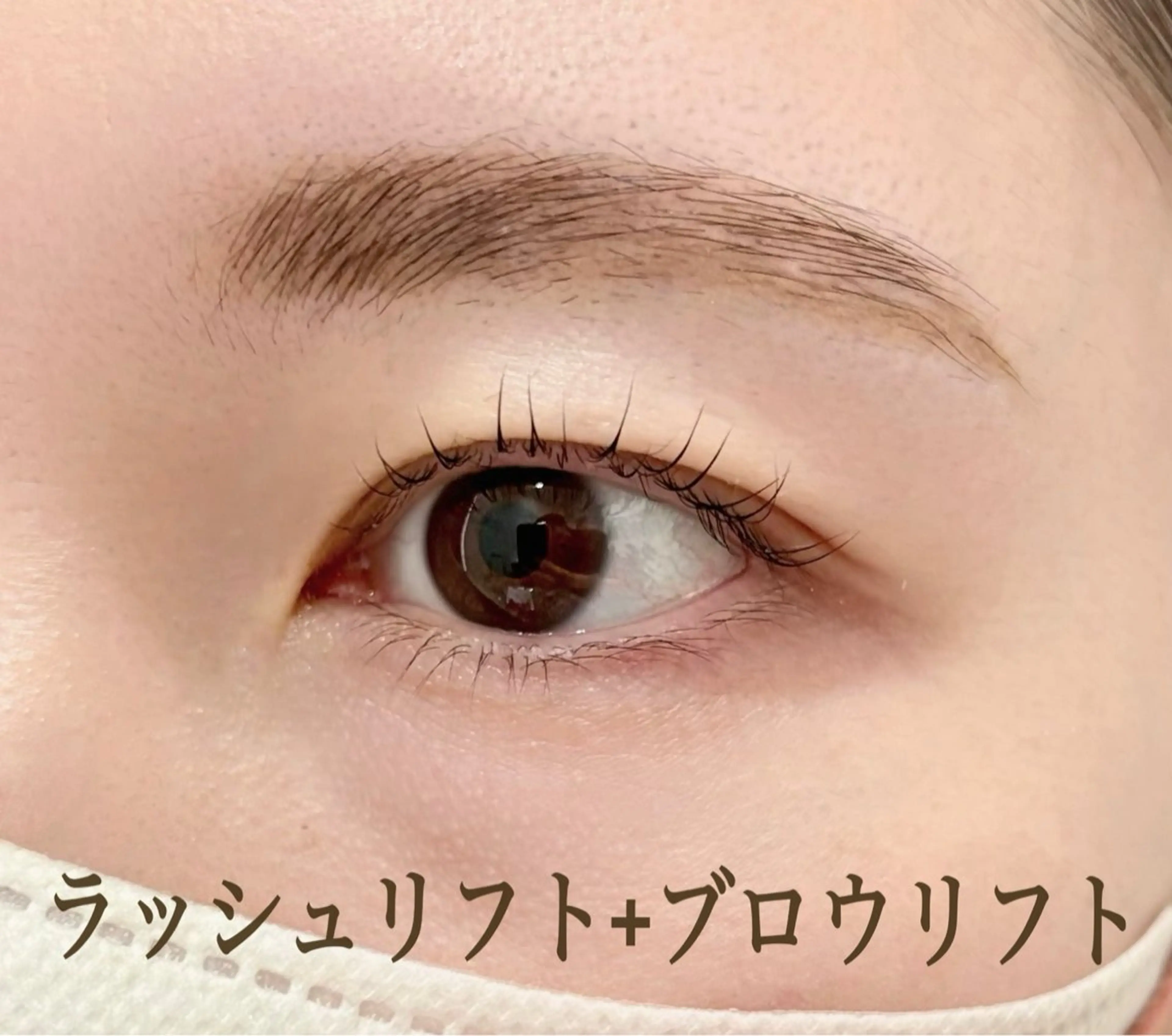 【期間限定】🌿ラッシュリフト+ブロウリフト🌿¥5980の写真