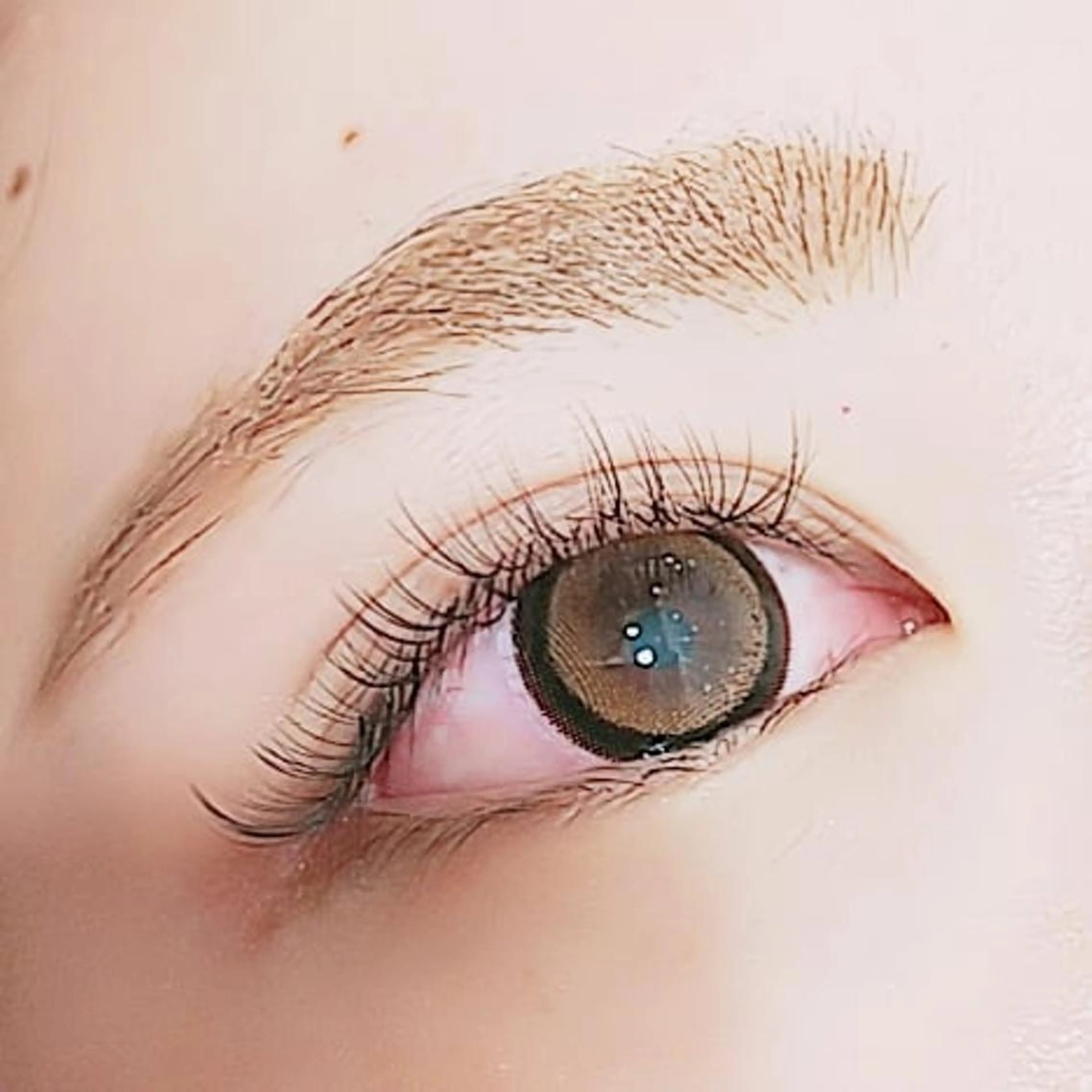マツエク・マツパ ナチュラル ウイング美容室 eyelash&hair所属・eyelash Wingのマツエク・マツパデザイン