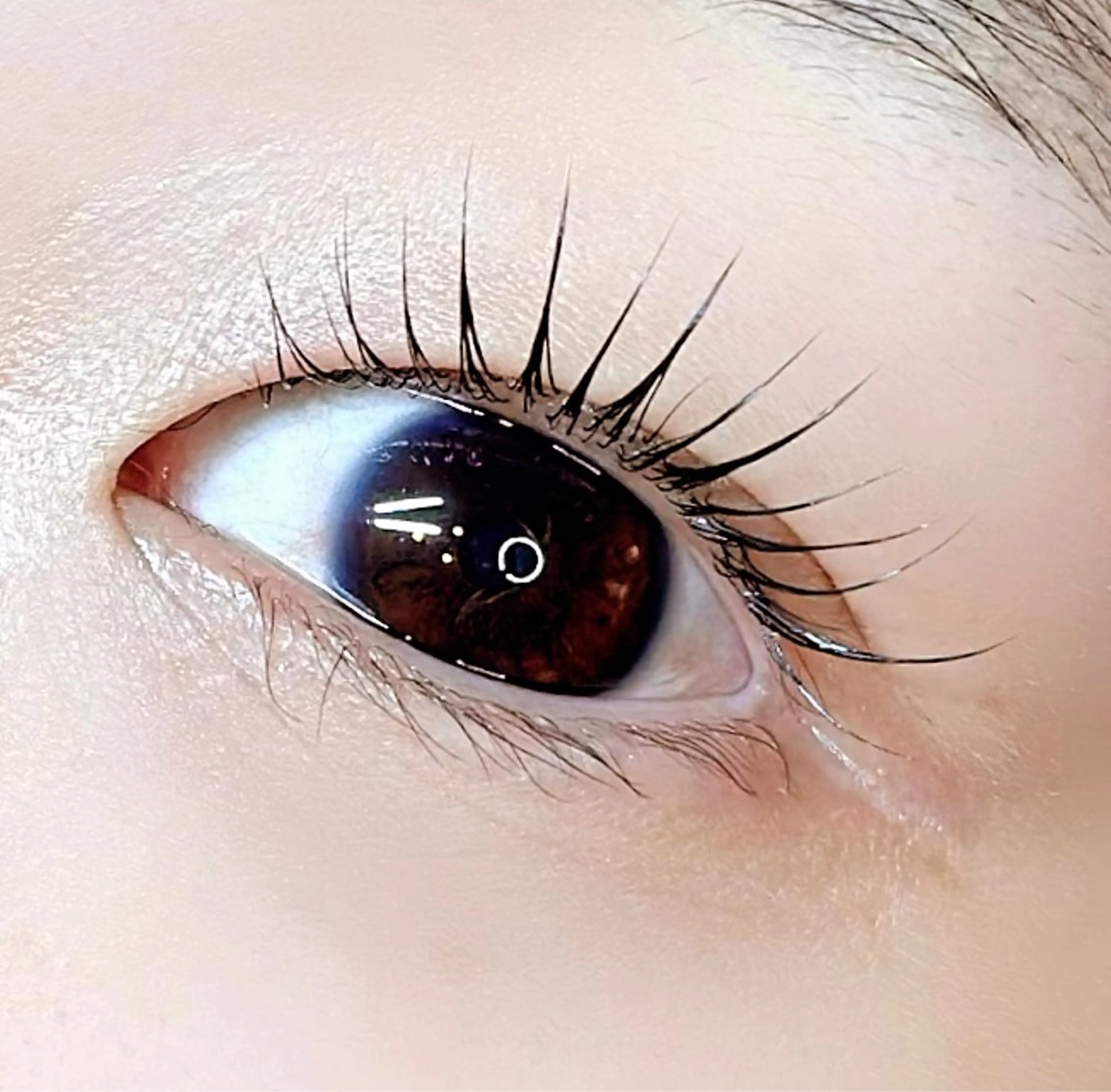 マツエク・マツパ ella所属・ella eyelashのマツエク・マツパデザイン