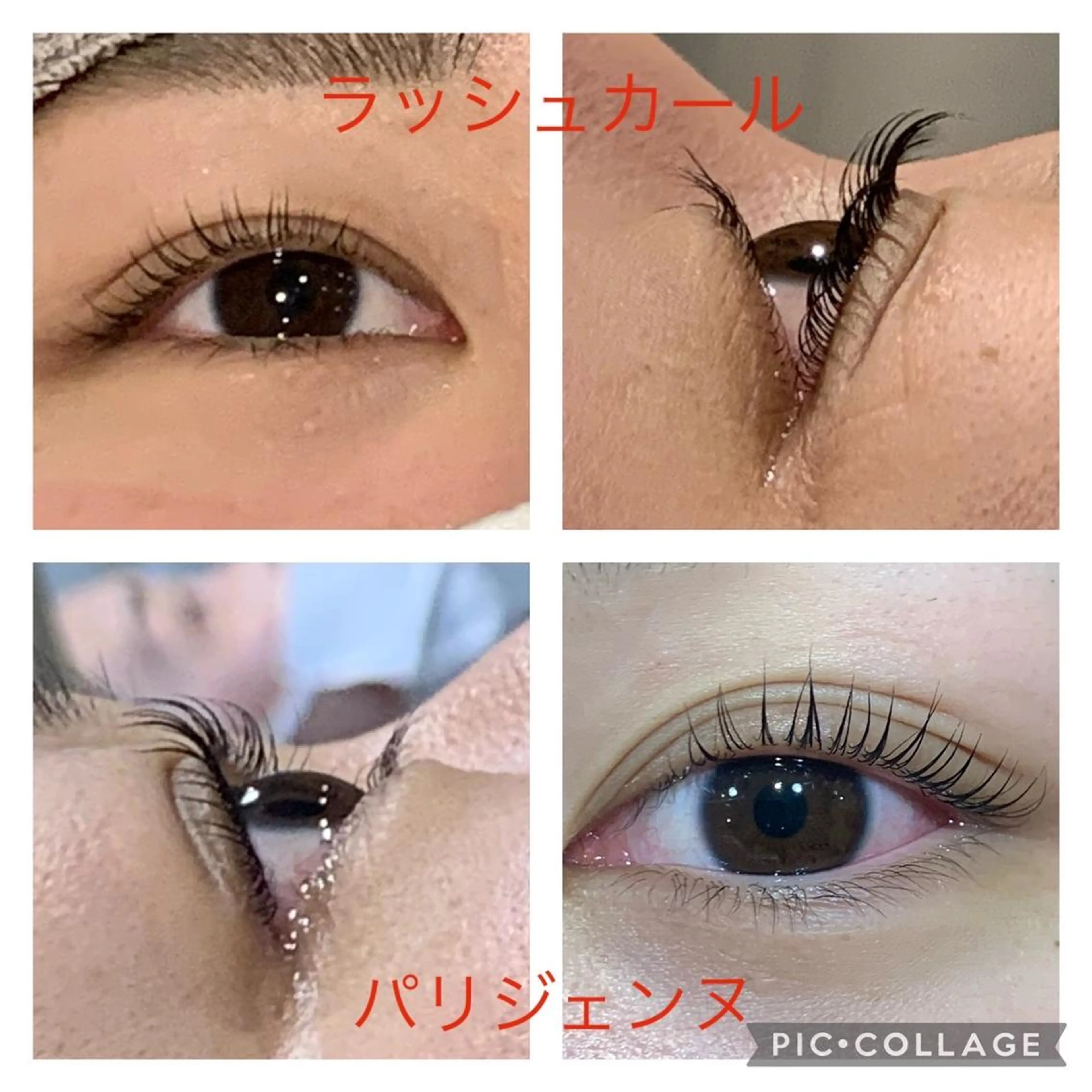 マツエク・マツパ マリーテレジア👑 TANAKAのマツエク・マツパデザイン
