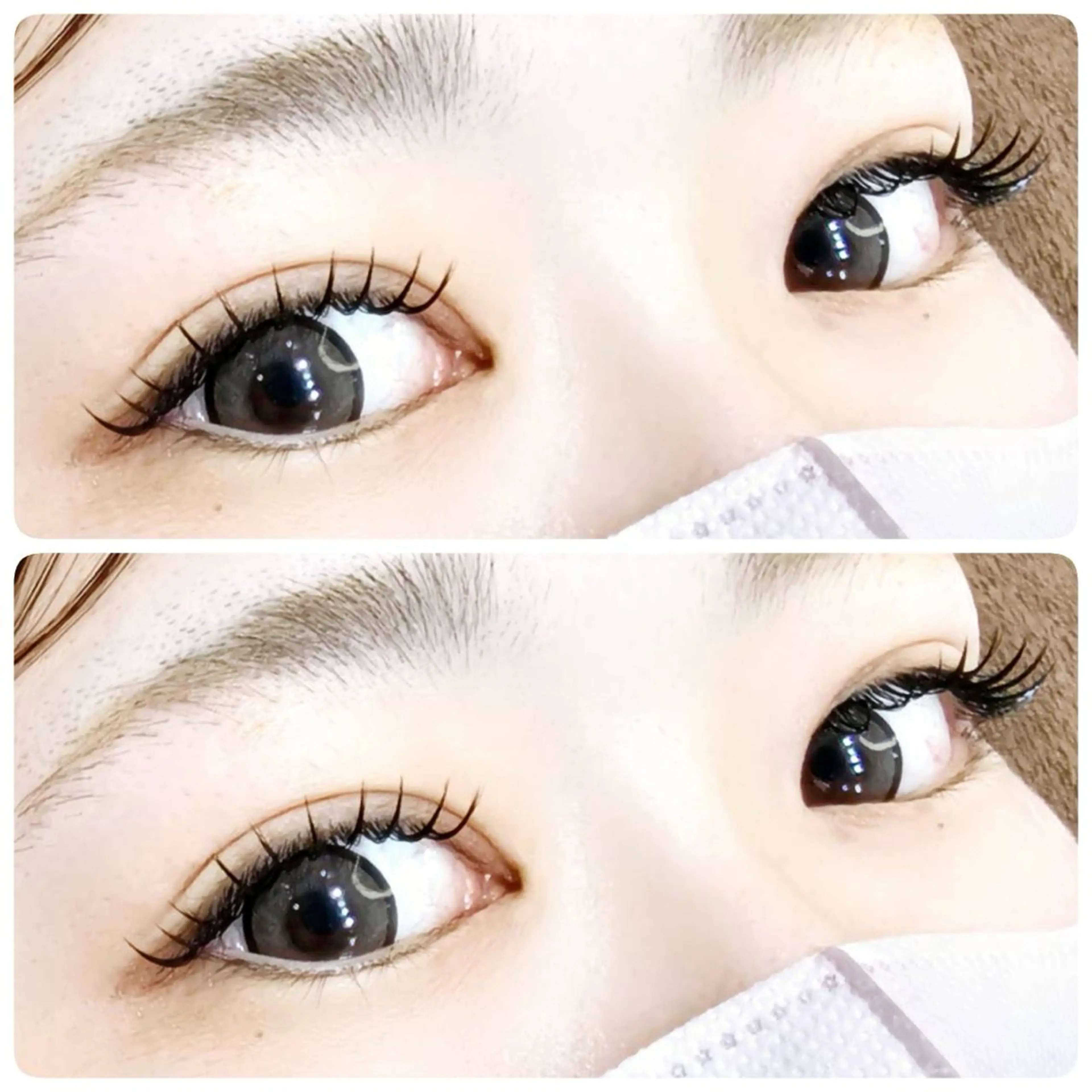 マツエク・マツパ フラットラッシュ ココラッシュ新宿西口所属・M. SHIORIのマツエク・マツパデザイン