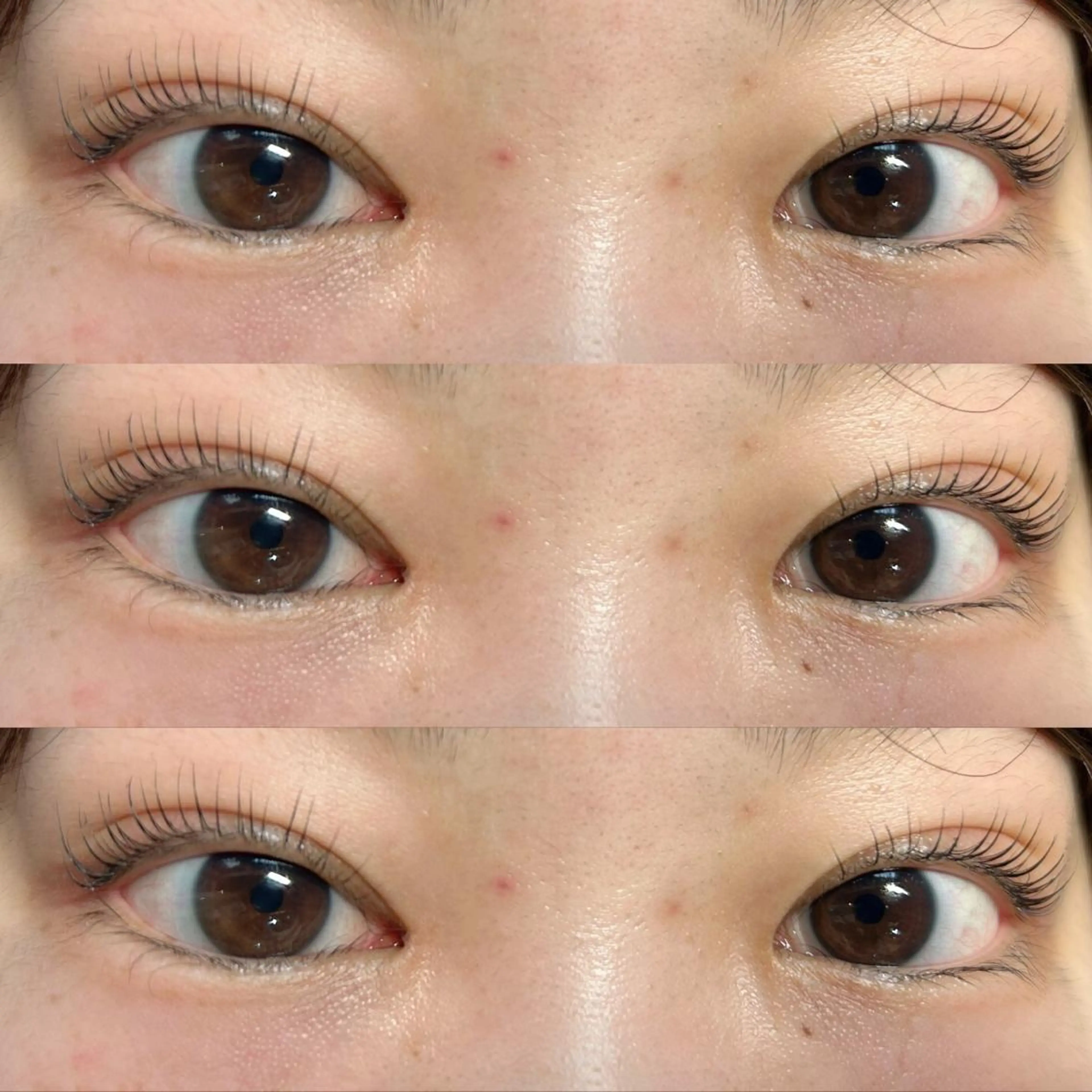 マツエク・マツパ petit ange所属・petit angeのマツエク・マツパデザイン