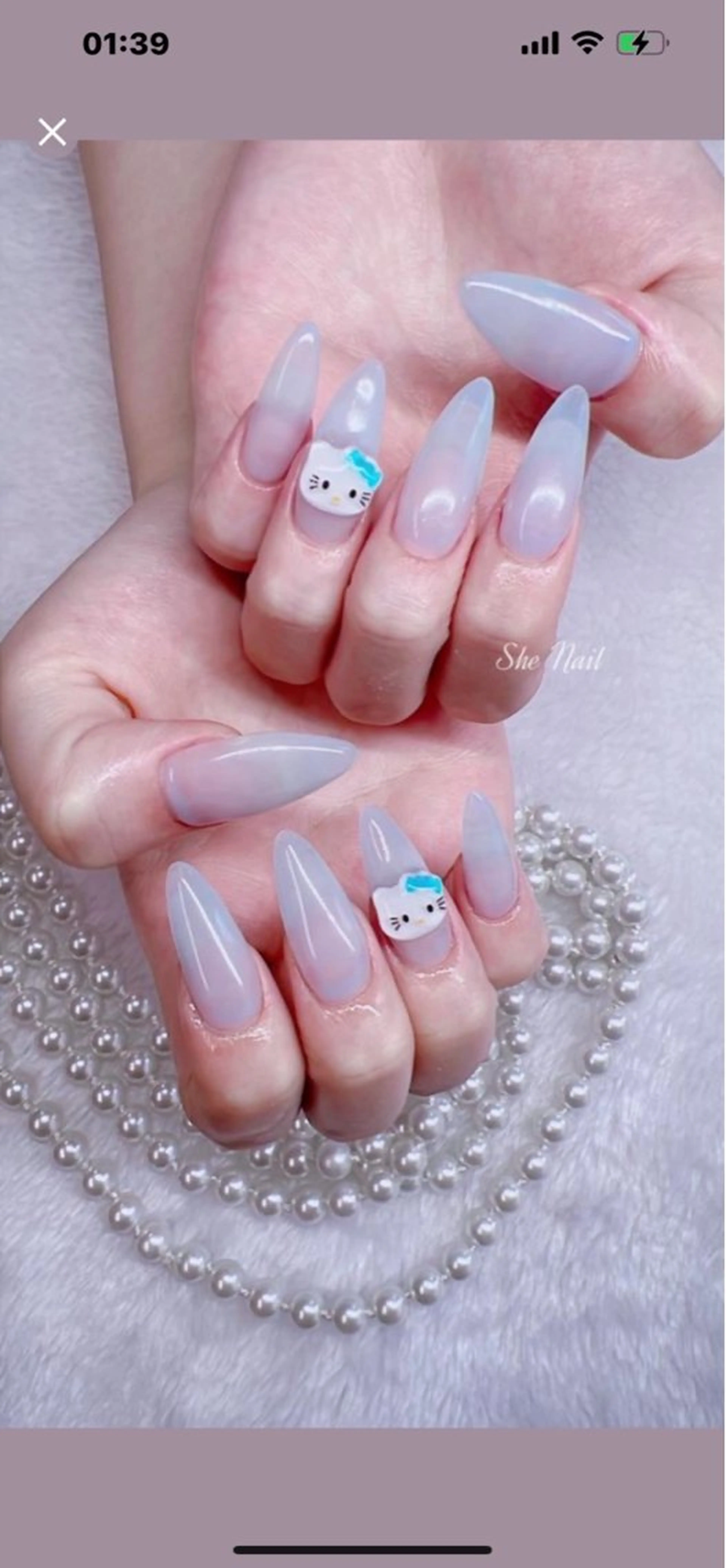 ネイル チークネイル 長さ出し フラッシュネイル マグネットネイル ワンカラーネイル She_nail所属・ELSA_ Bellaのネイルデザイン
