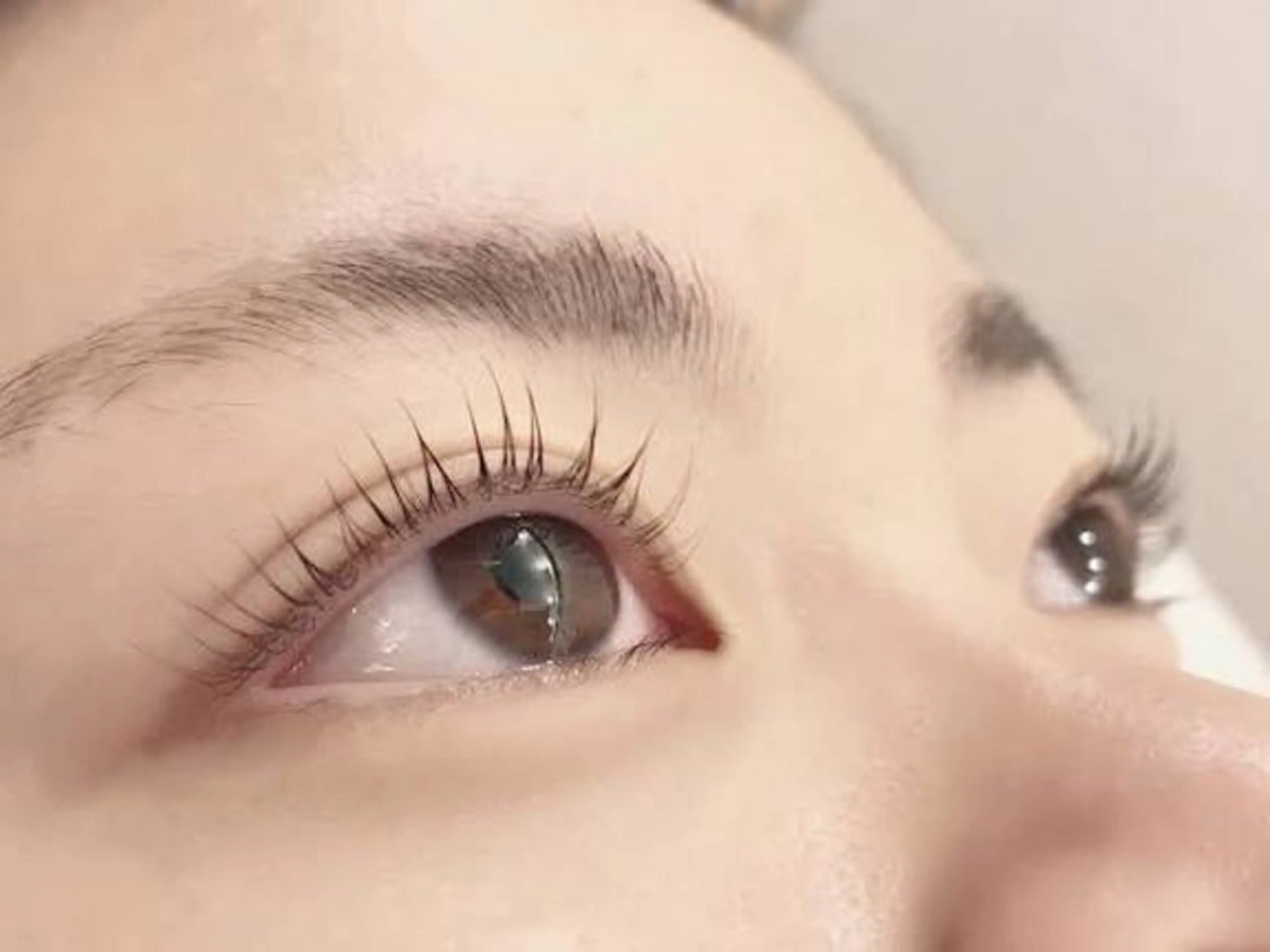 無料！ケラチンラッシュリフト（まつ毛パーマ）モデル募集。の写真