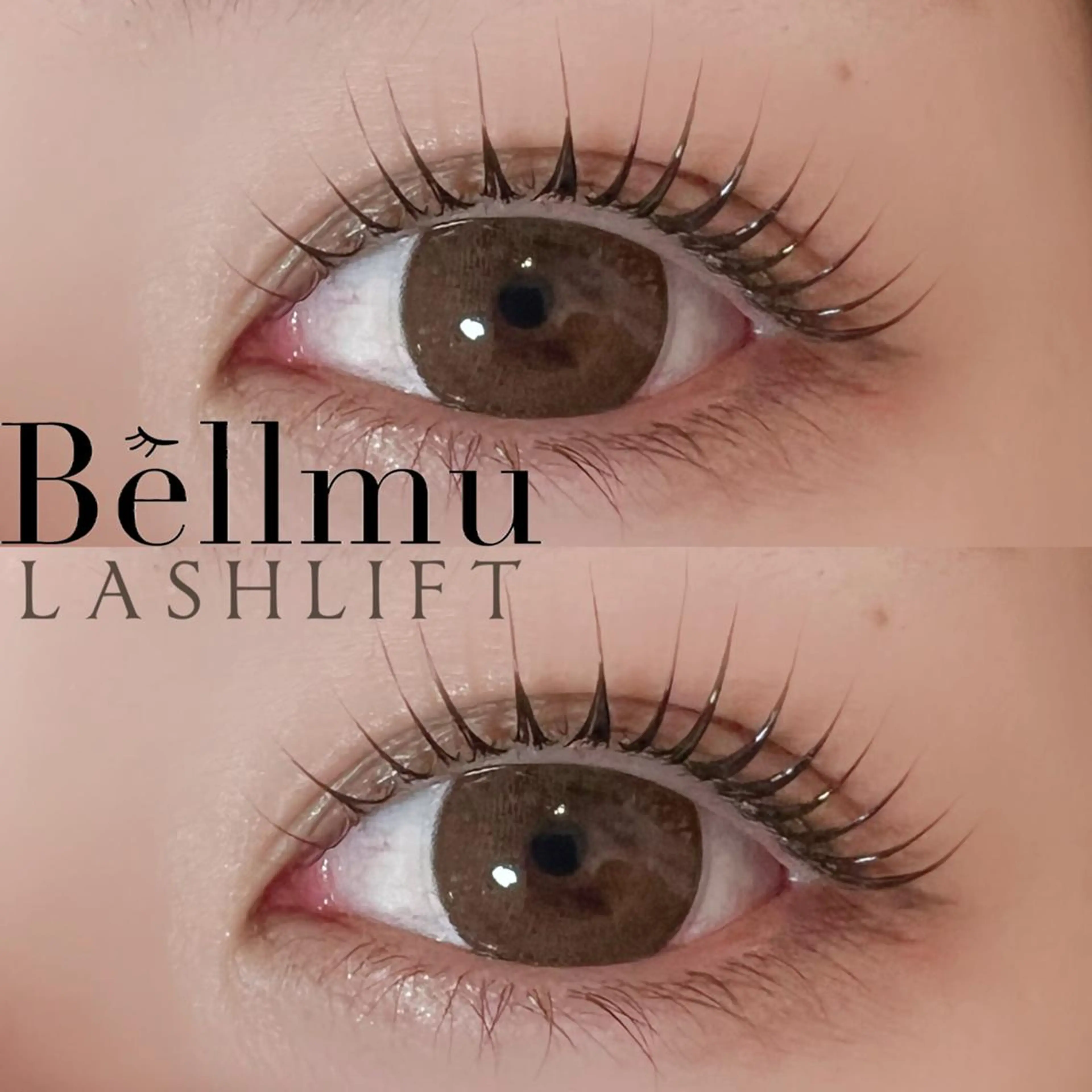 マツエク・マツパ 💈Bèllmu/ なんば/心斎橋🖤のマツエク・マツパデザイン