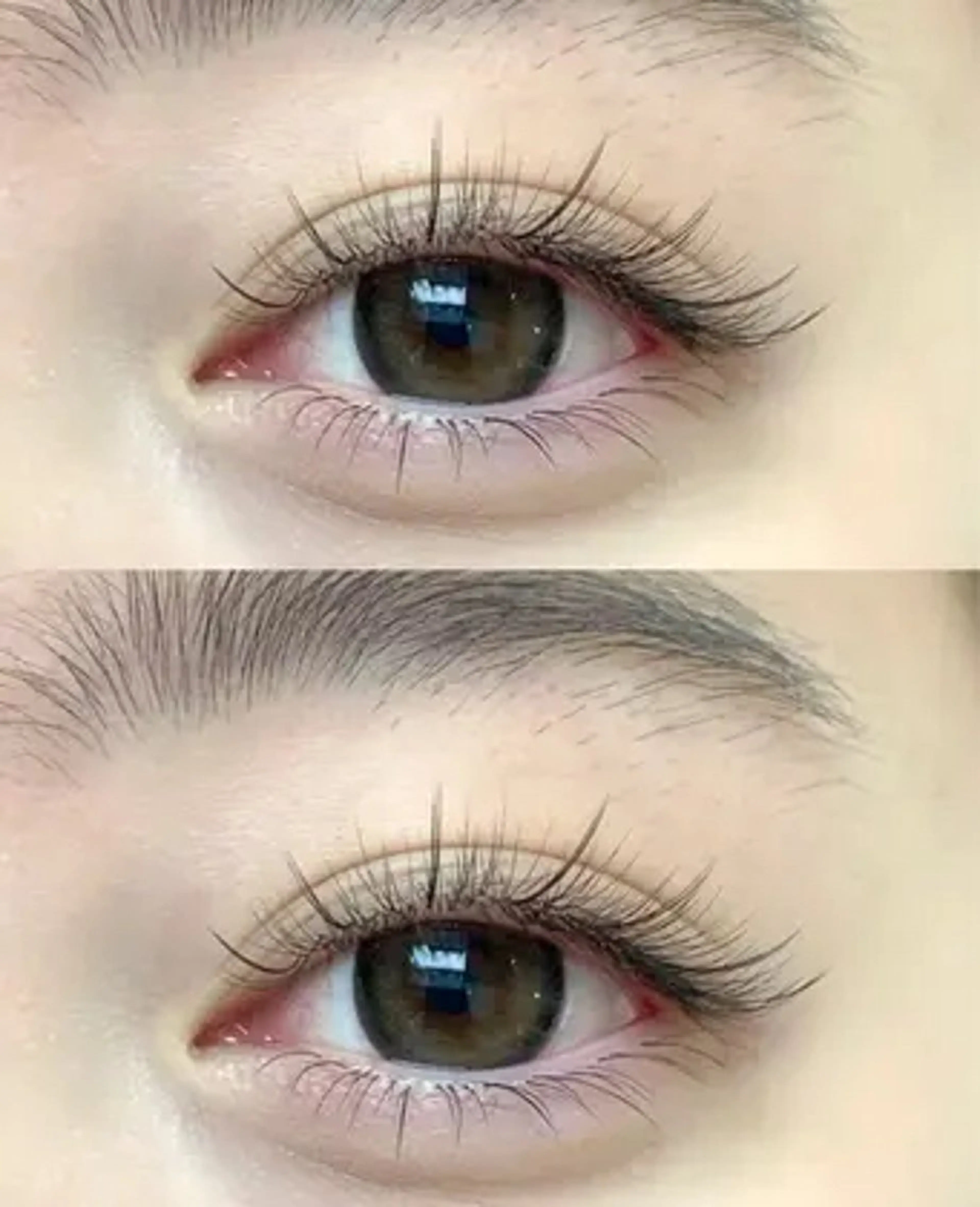 【研修期間限定】フラットラッシュ上100本　オフ無料の写真