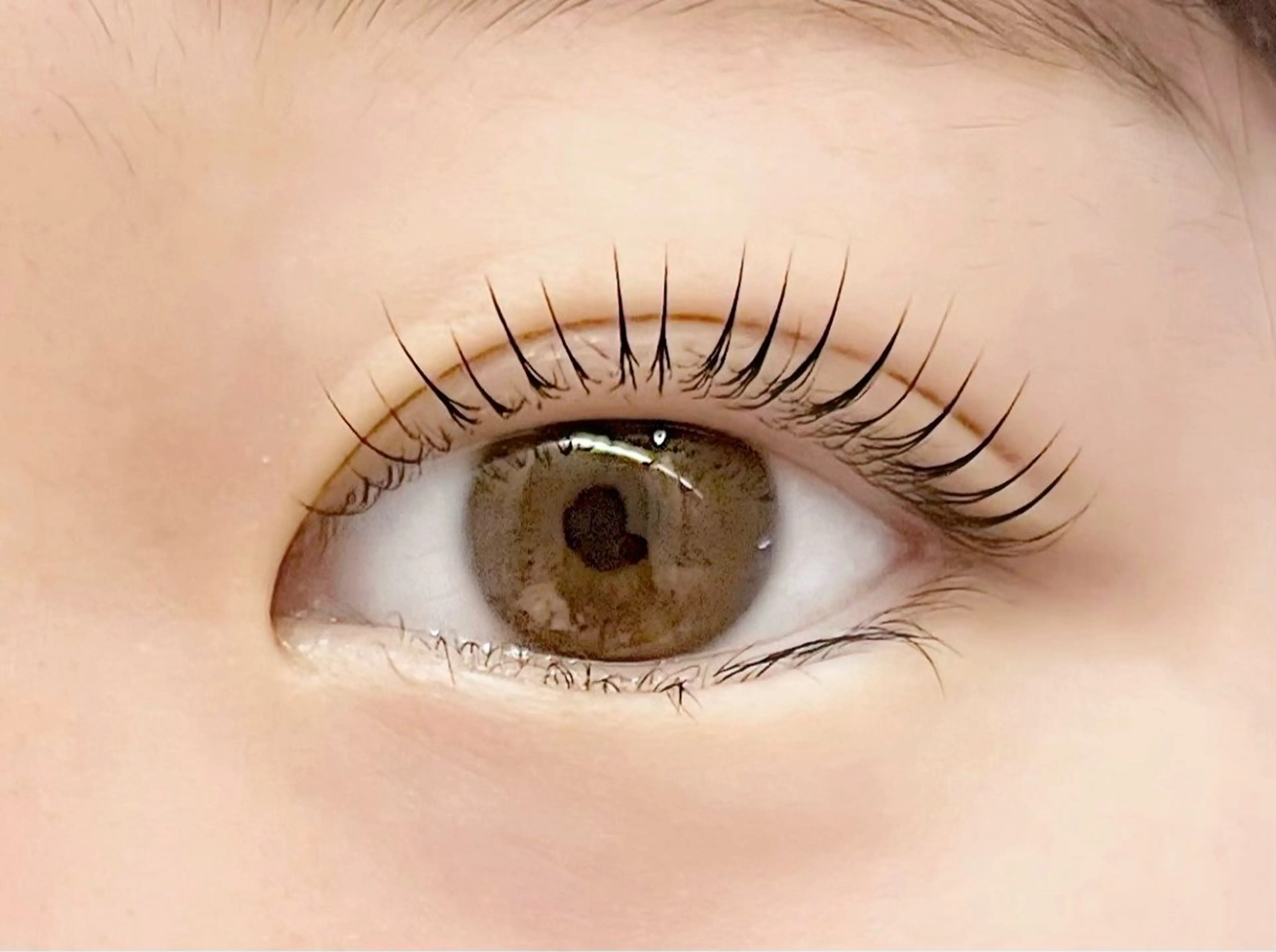 ãããšã¯ã»ããã sola: neoliveçç°ã®ãããšã¯ã»ããããã¶ã€ã³