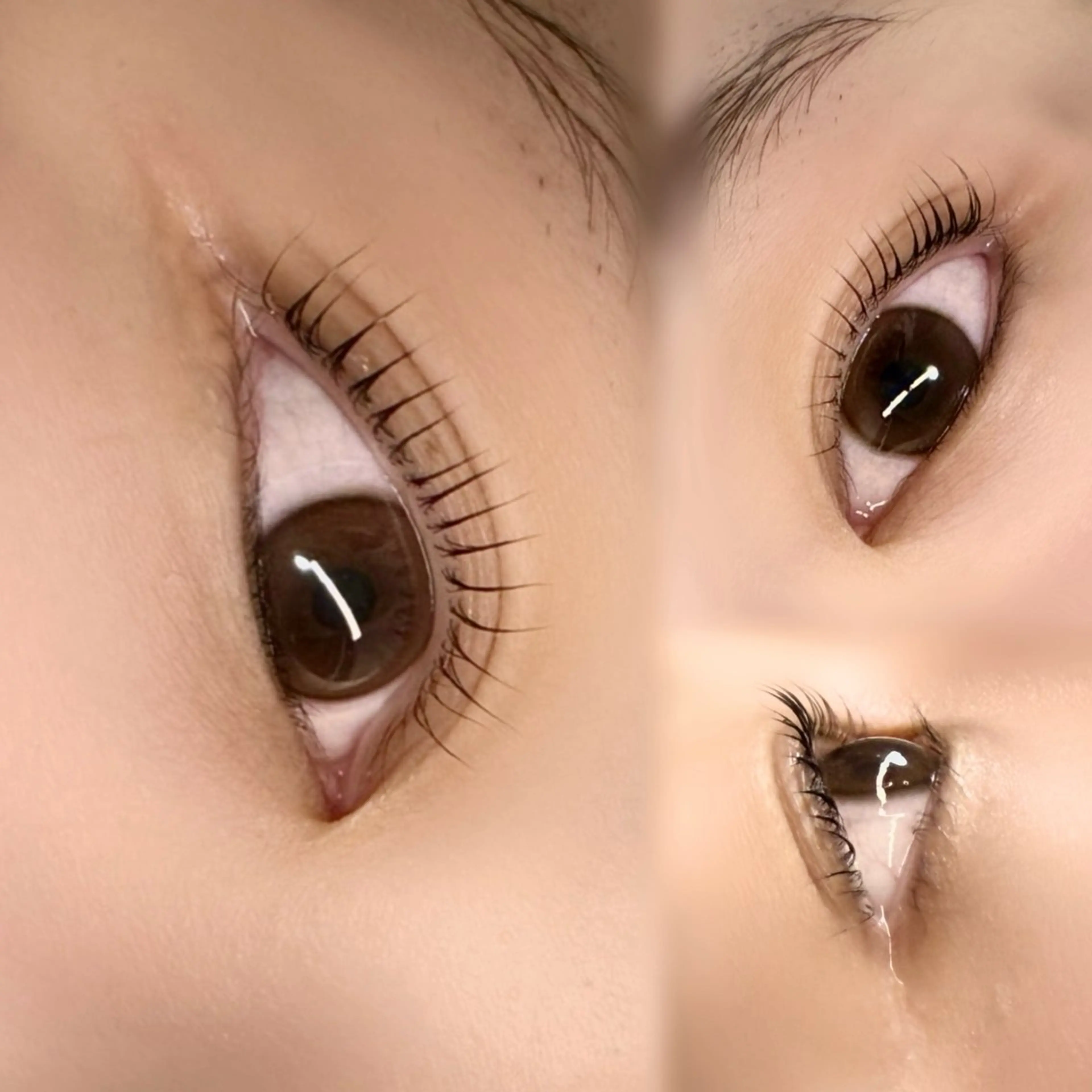 マツエク・マツパ emy eyelushのマツエク・マツパデザイン