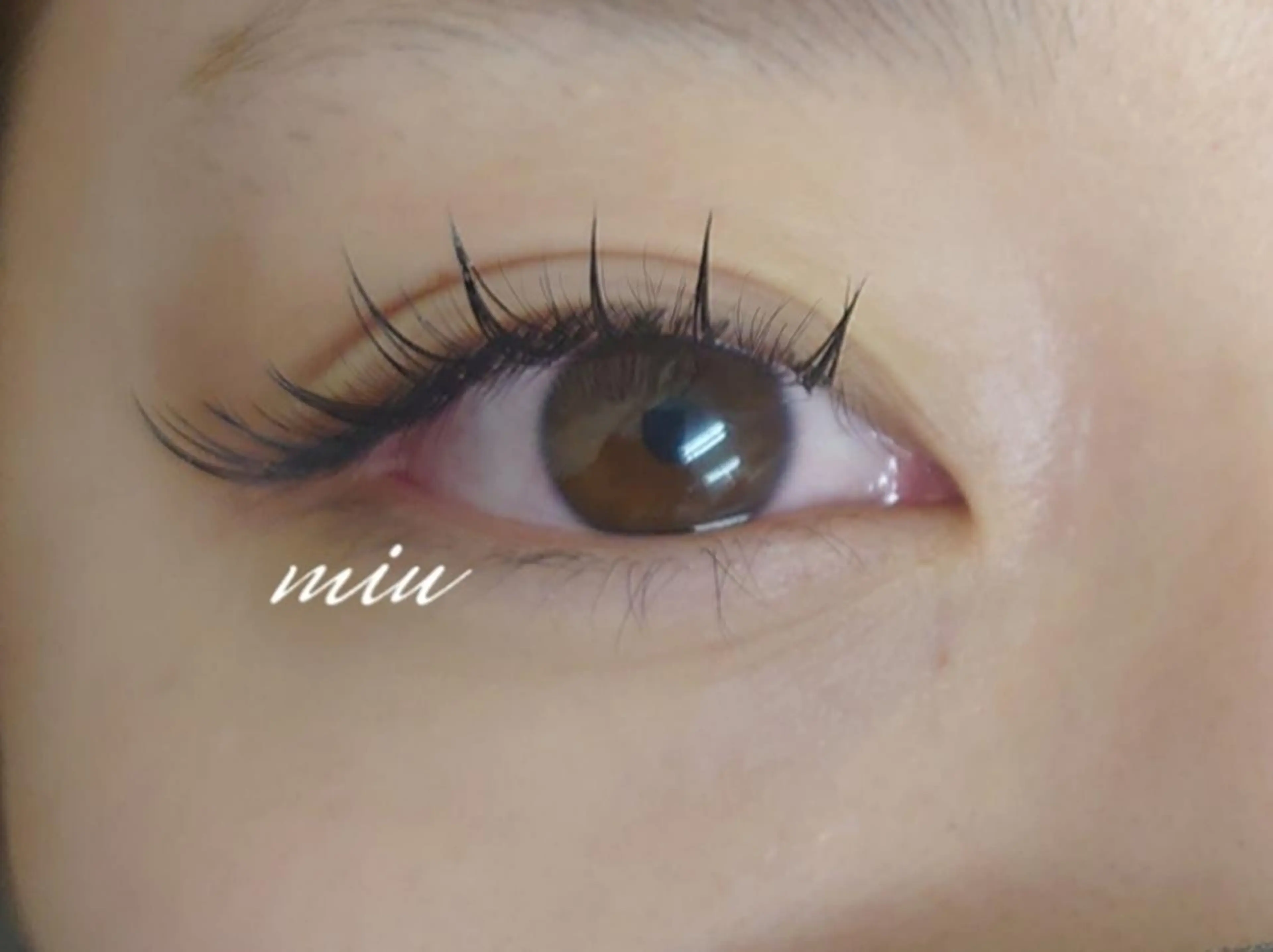 マツエク・マツパ ワンホンマツエク マツエク miu🕊 亀戸駅北口1分︎🤍のマツエク・マツパデザイン