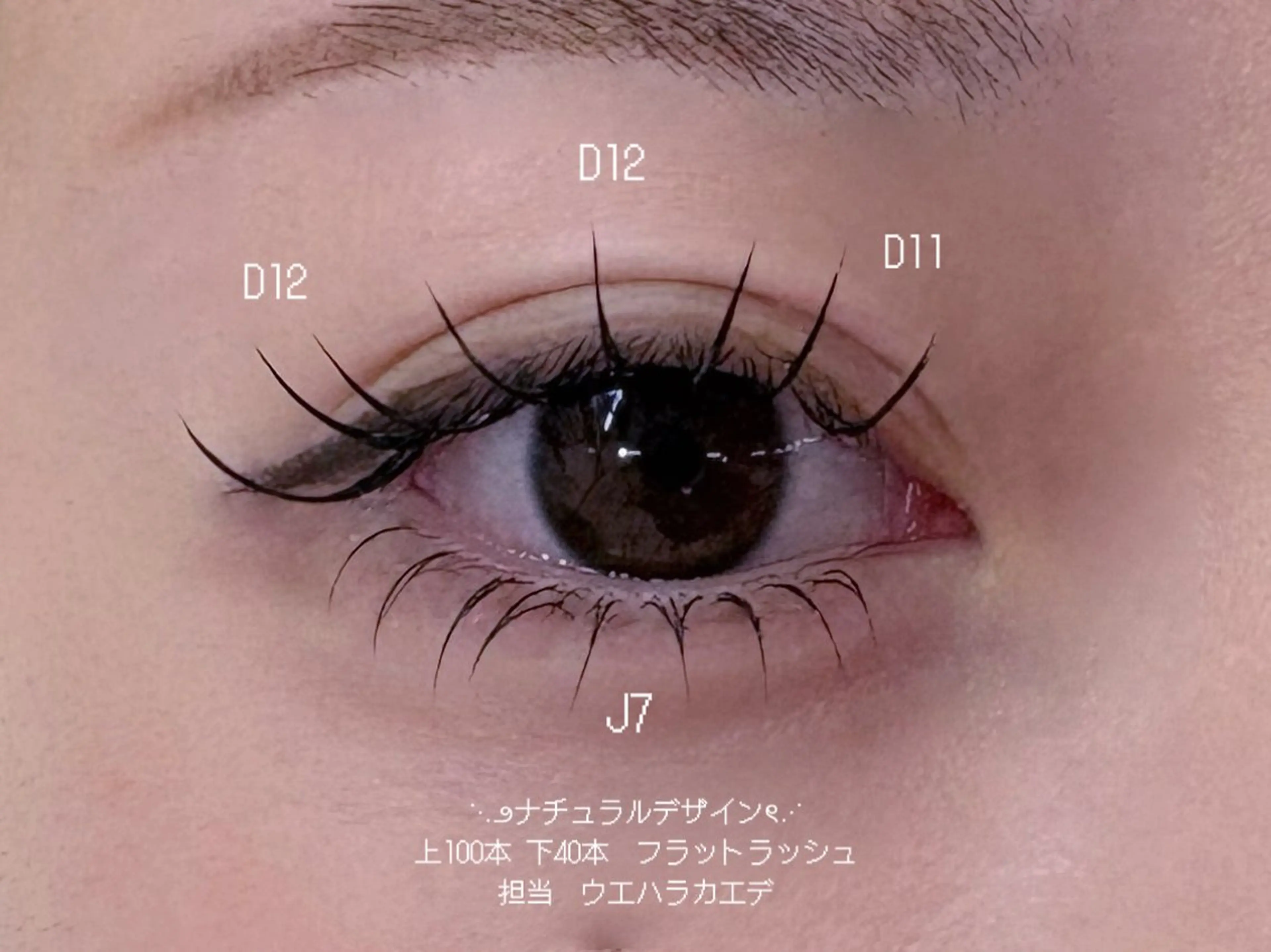 マツエク・マツパ Dカール 下まつげエクステ マツエク WOLTOKYO ウエハラ　カエデのマツエク・マツパデザイン