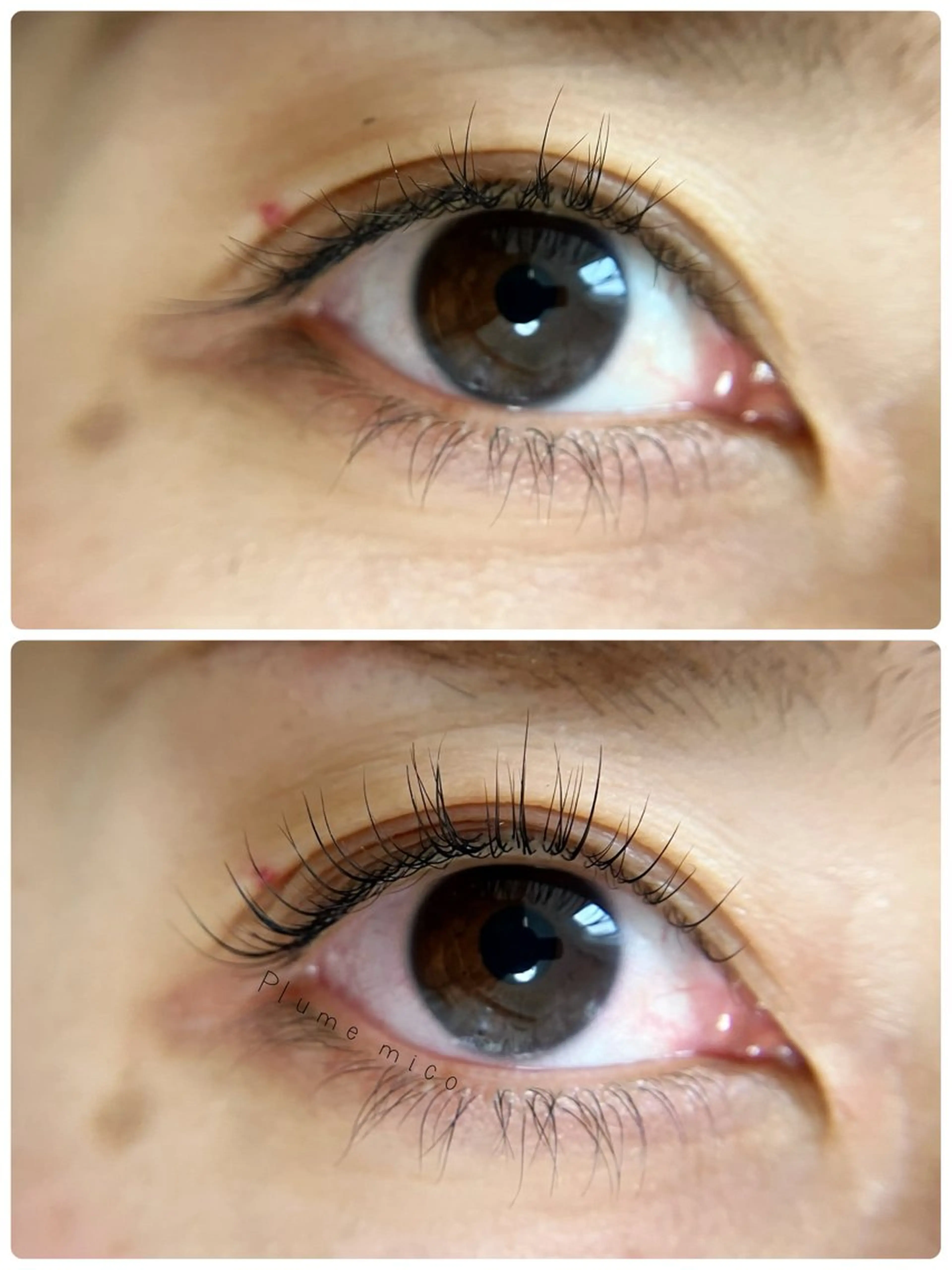 マツエク・マツパ マツパ Plume micoのマツエク・マツパデザイン