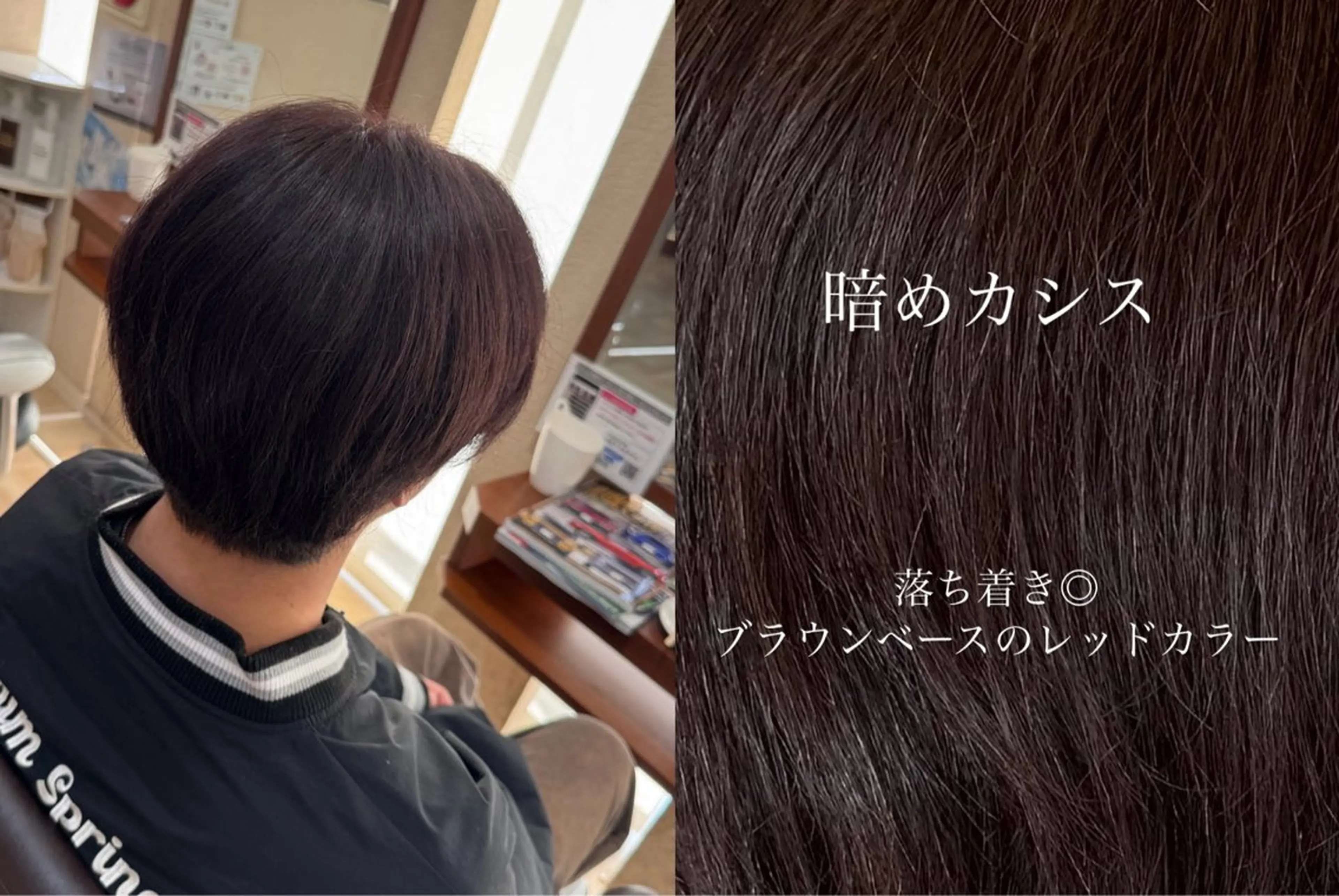 カラー ブラウンカラー カシス ヘアカラー 🪼いとう ここみ🪼のヘアスタイル