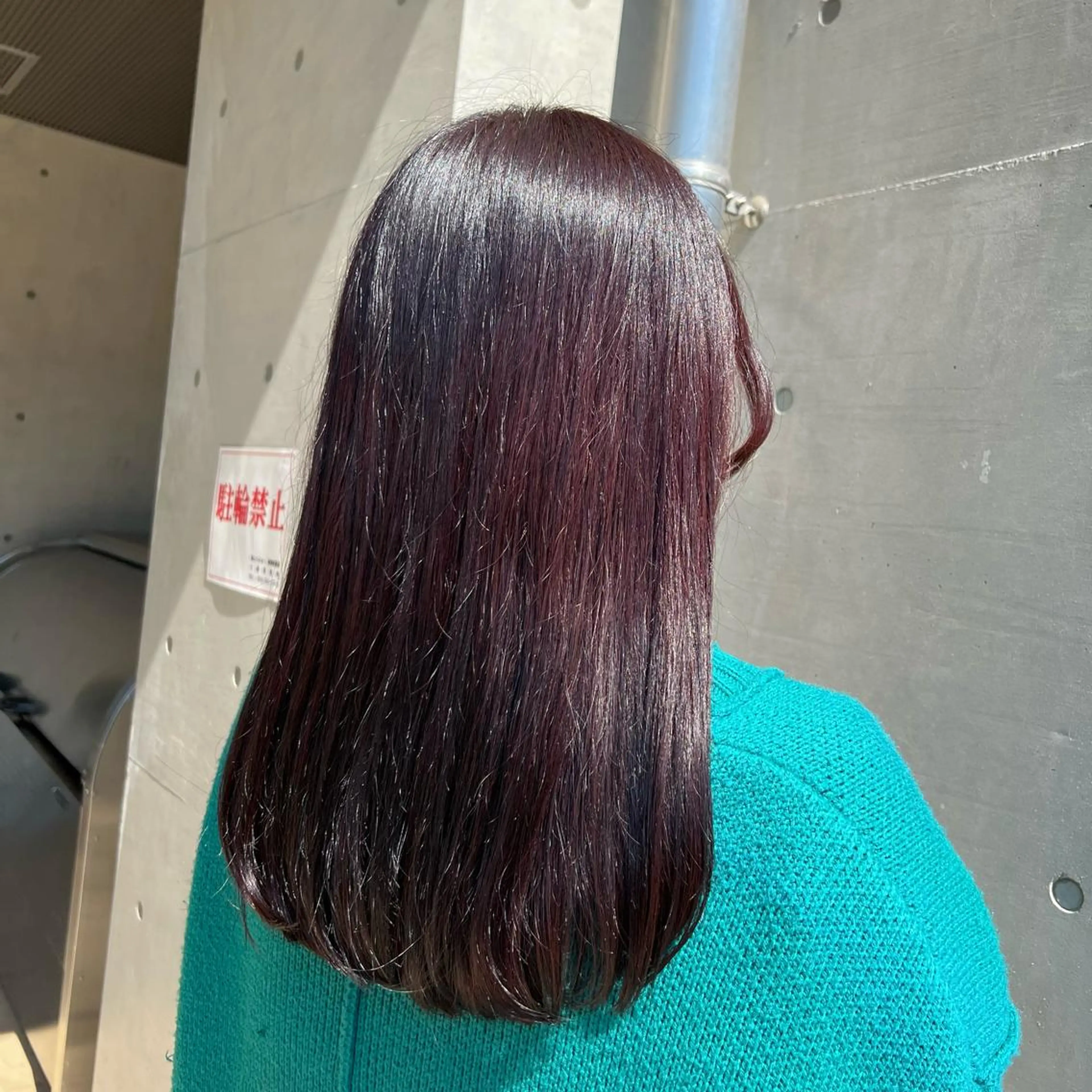 ロング カラー ブラウンカラー レッドカラー レッドブラウン カット ヘアカラー stylist 🐶内藤 成香のヘアスタイル