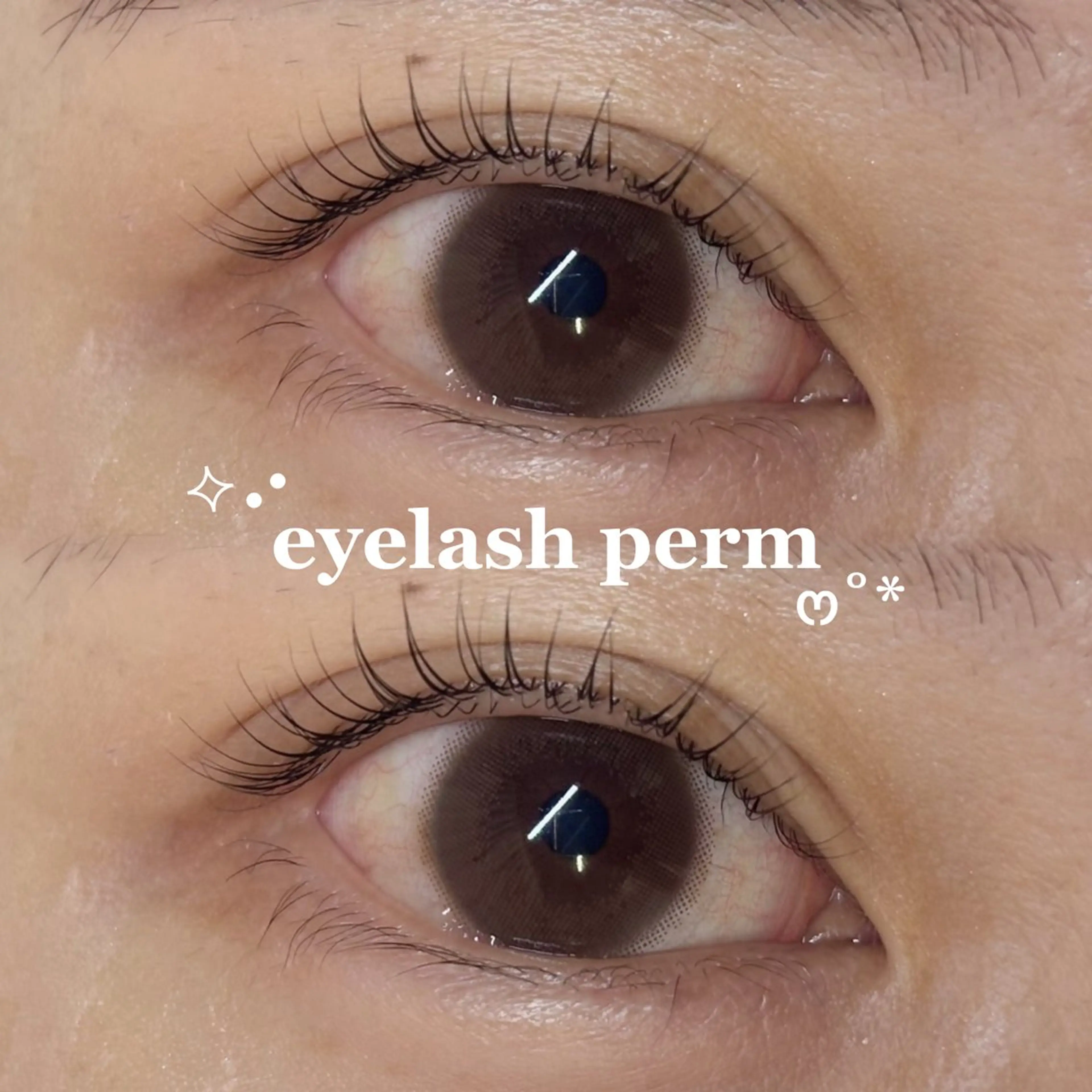 マツエク・マツパ マツパ enu eyelash所属・桃花/大阪梅田 /韓国まつ毛🪽🫧のマツエク・マツパデザイン