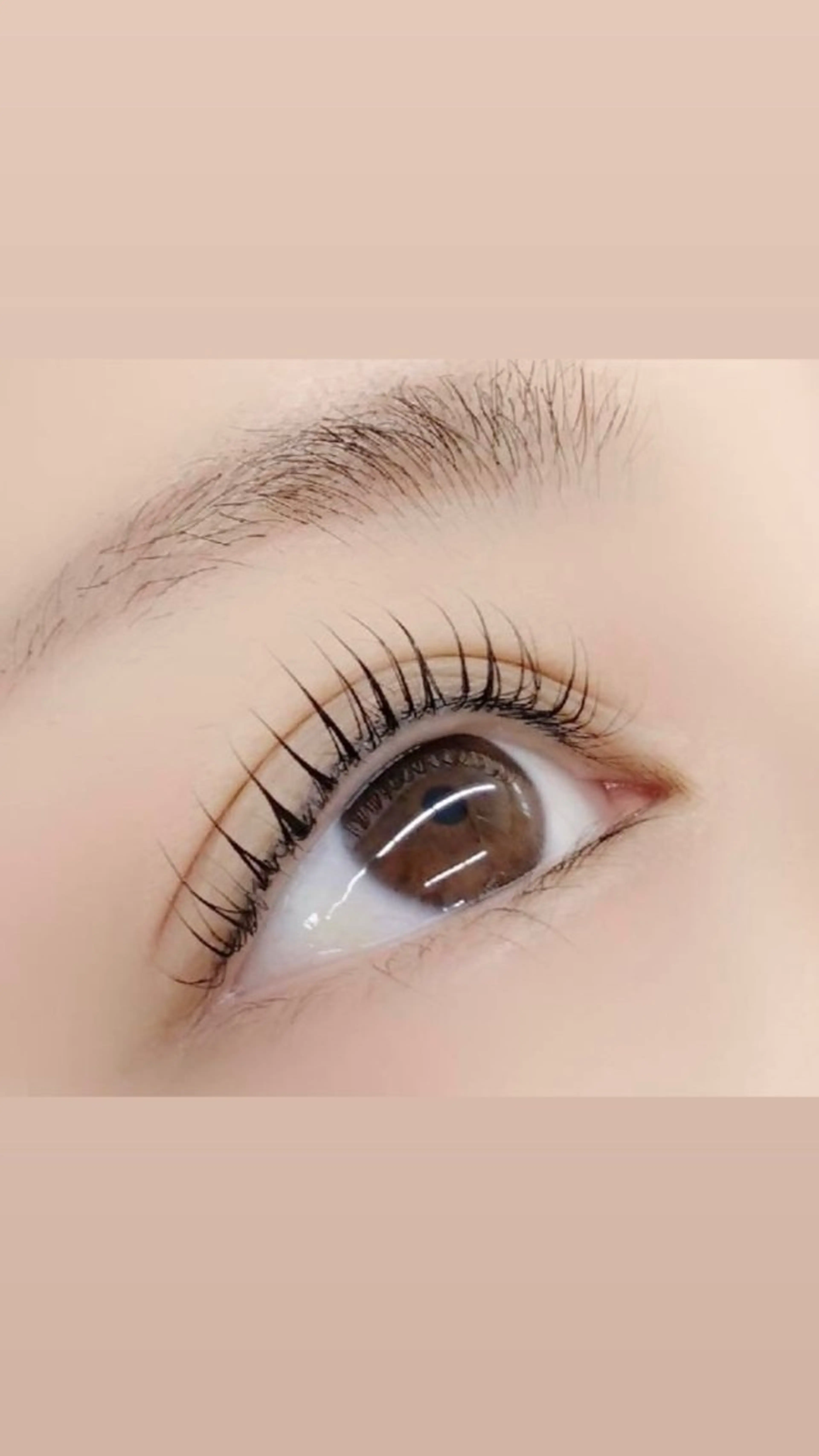 マツエク・マツパ マツパ memelu 石川のマツエク・マツパデザイン