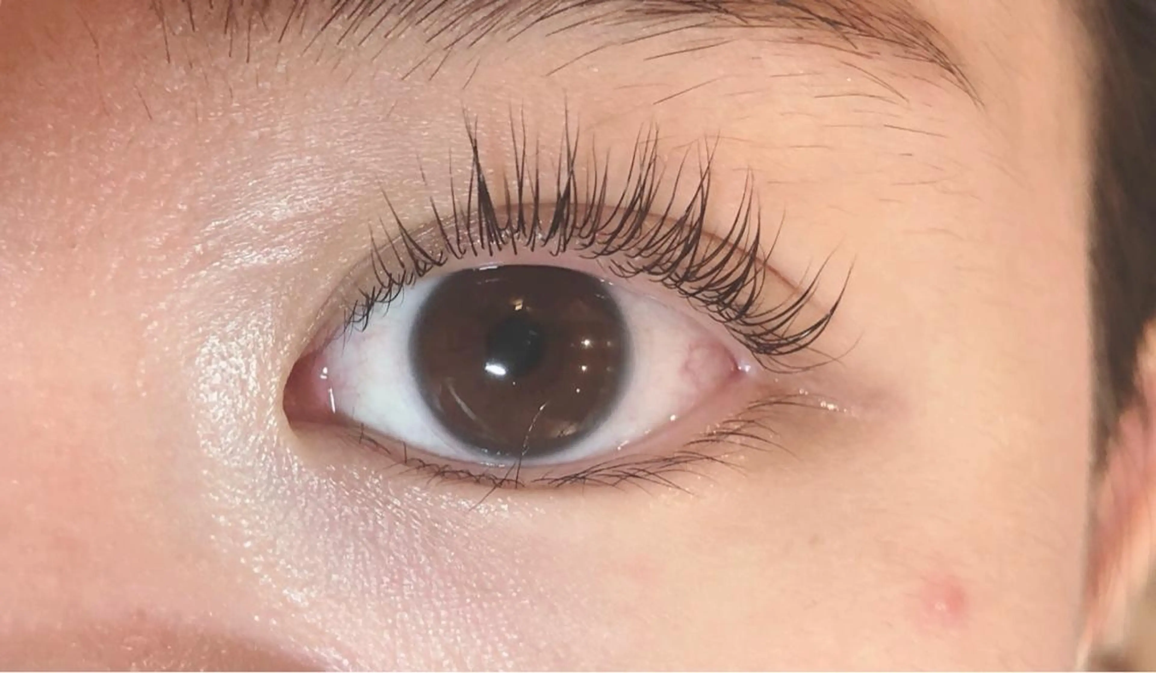 マツエク・マツパ パリジェンヌラッシュリフト マツパ aimée/ まつ毛&眉毛サロンのマツエク・マツパデザイン