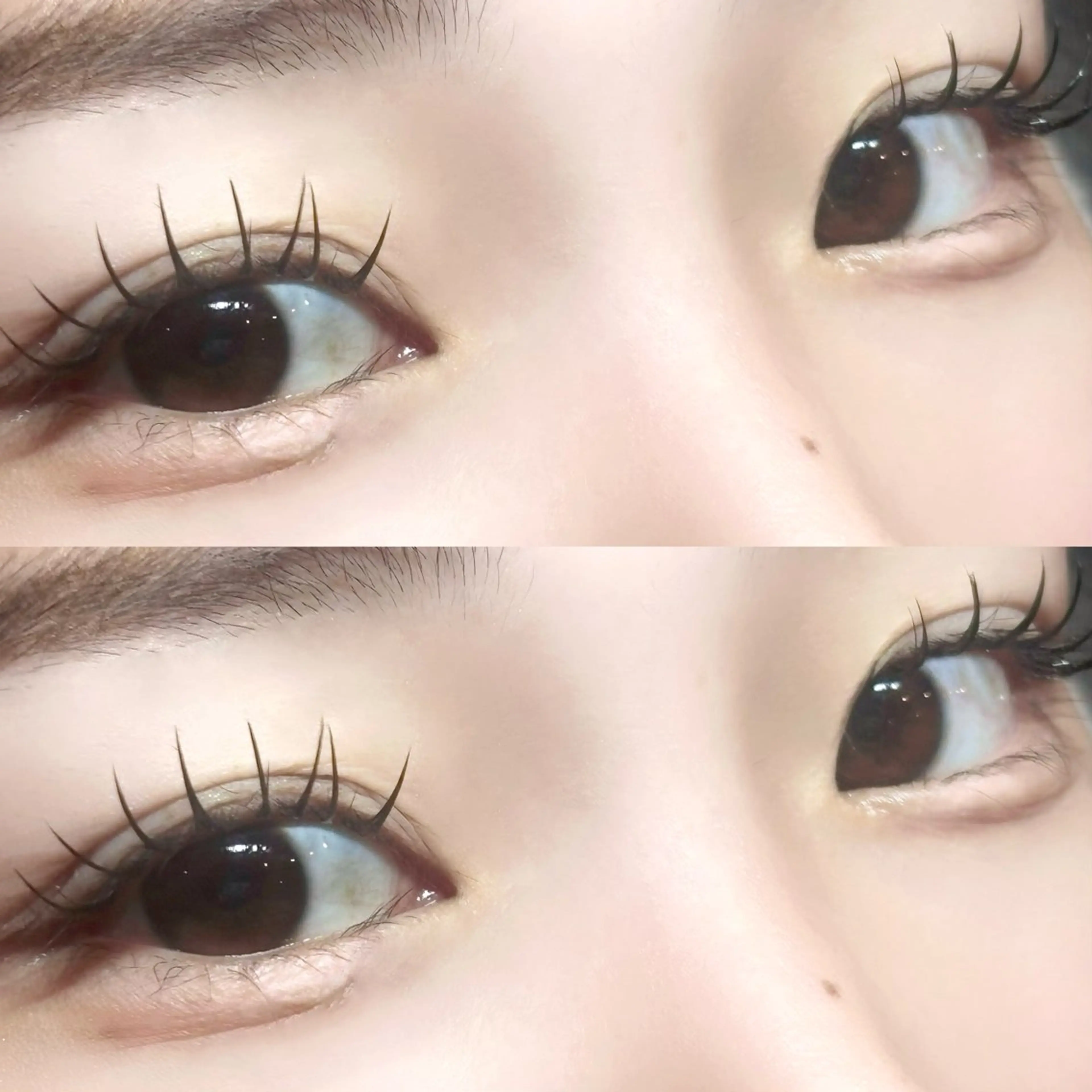 オフなし　フラットラッシュ120本の写真