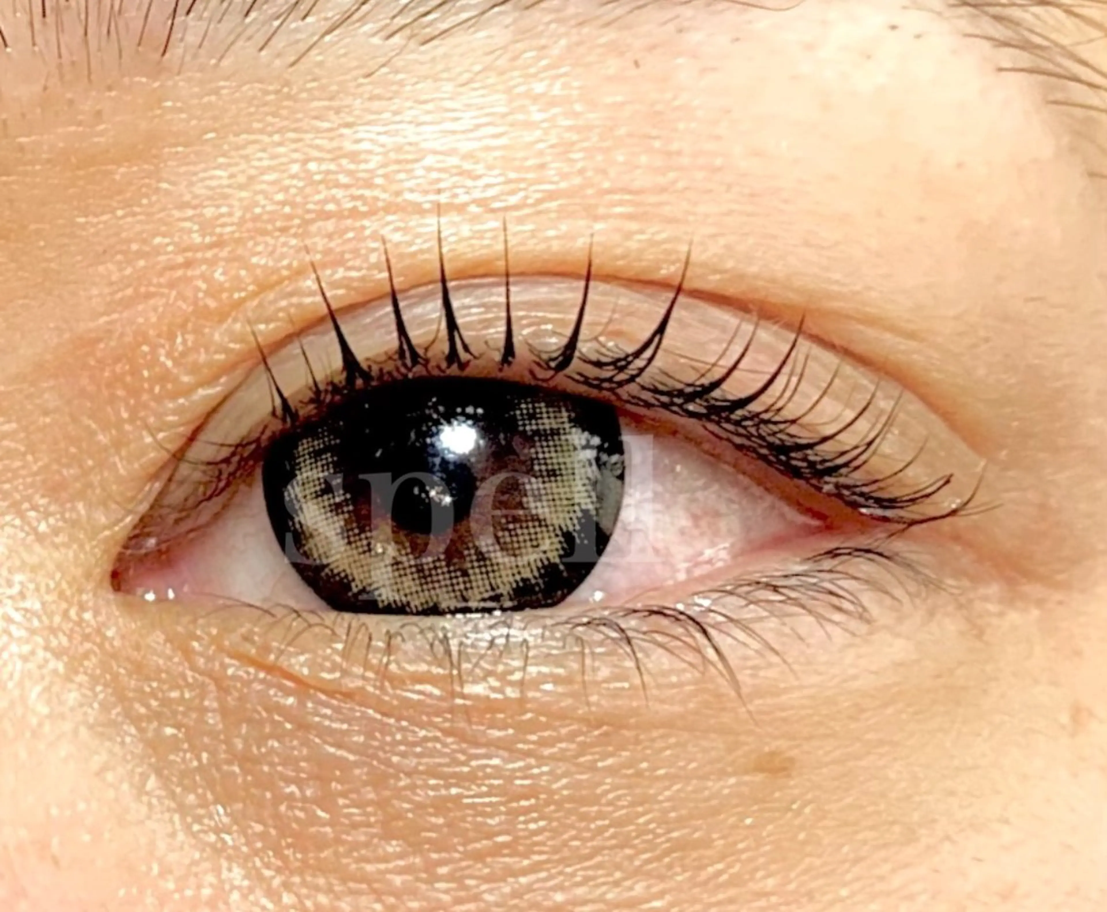 マツエク・マツパ マツパ spell_eyelash所属・spell eyelashのマツエク・マツパデザイン