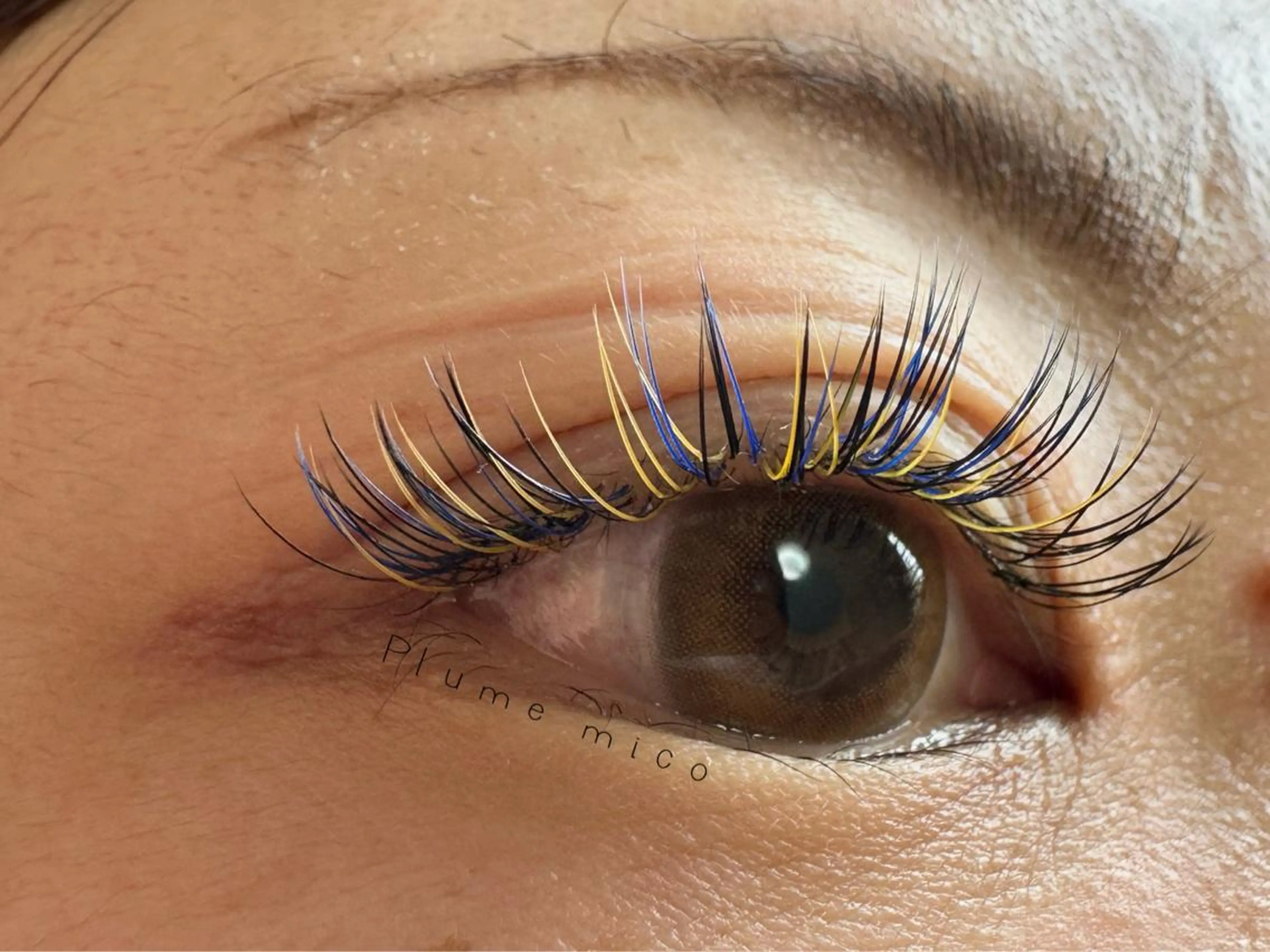 マツエク・マツパ マツエク Plume micoのマツエク・マツパデザイン