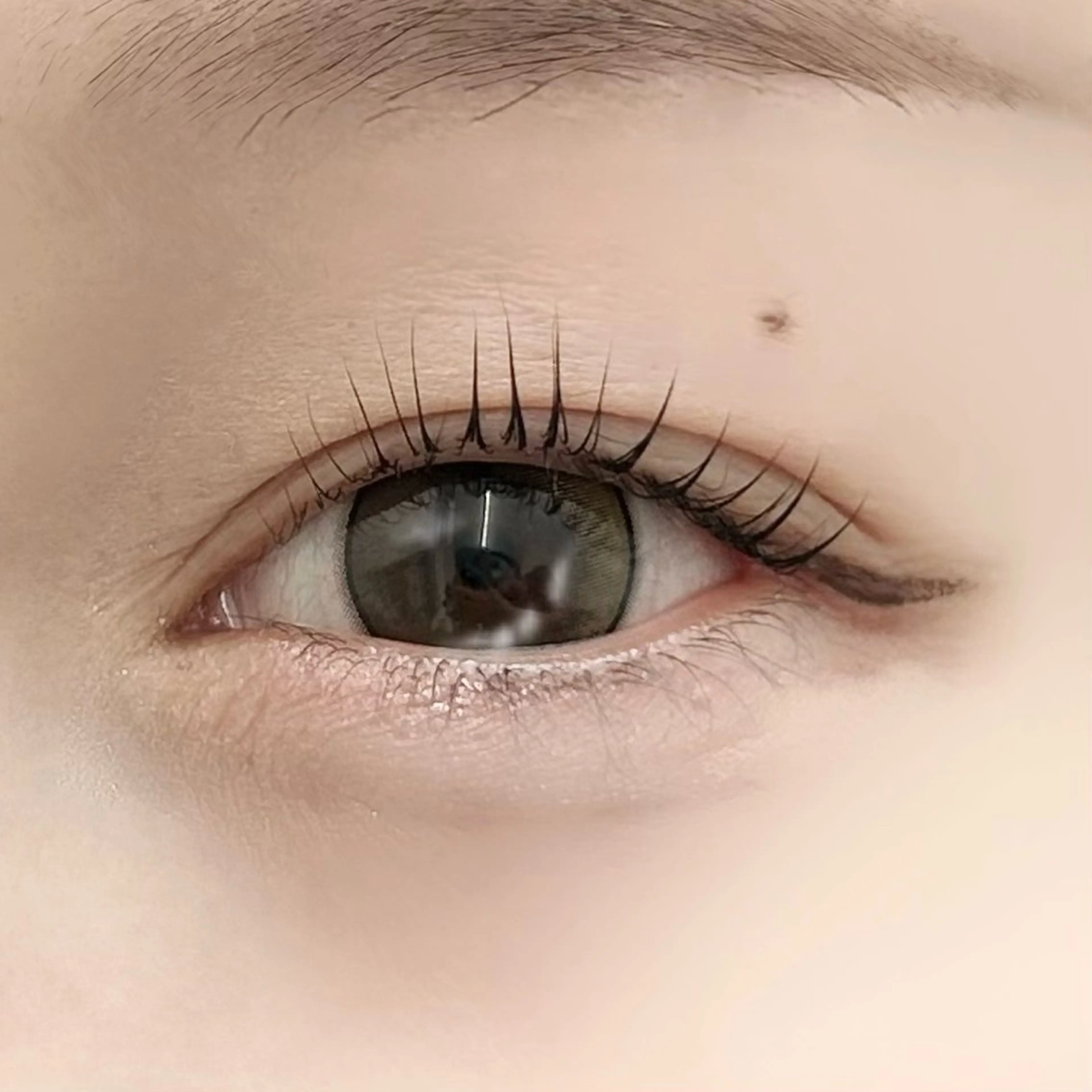 マツエク・マツパ マツパ LuLu / まつパ 🥀akaneのマツエク・マツパデザイン